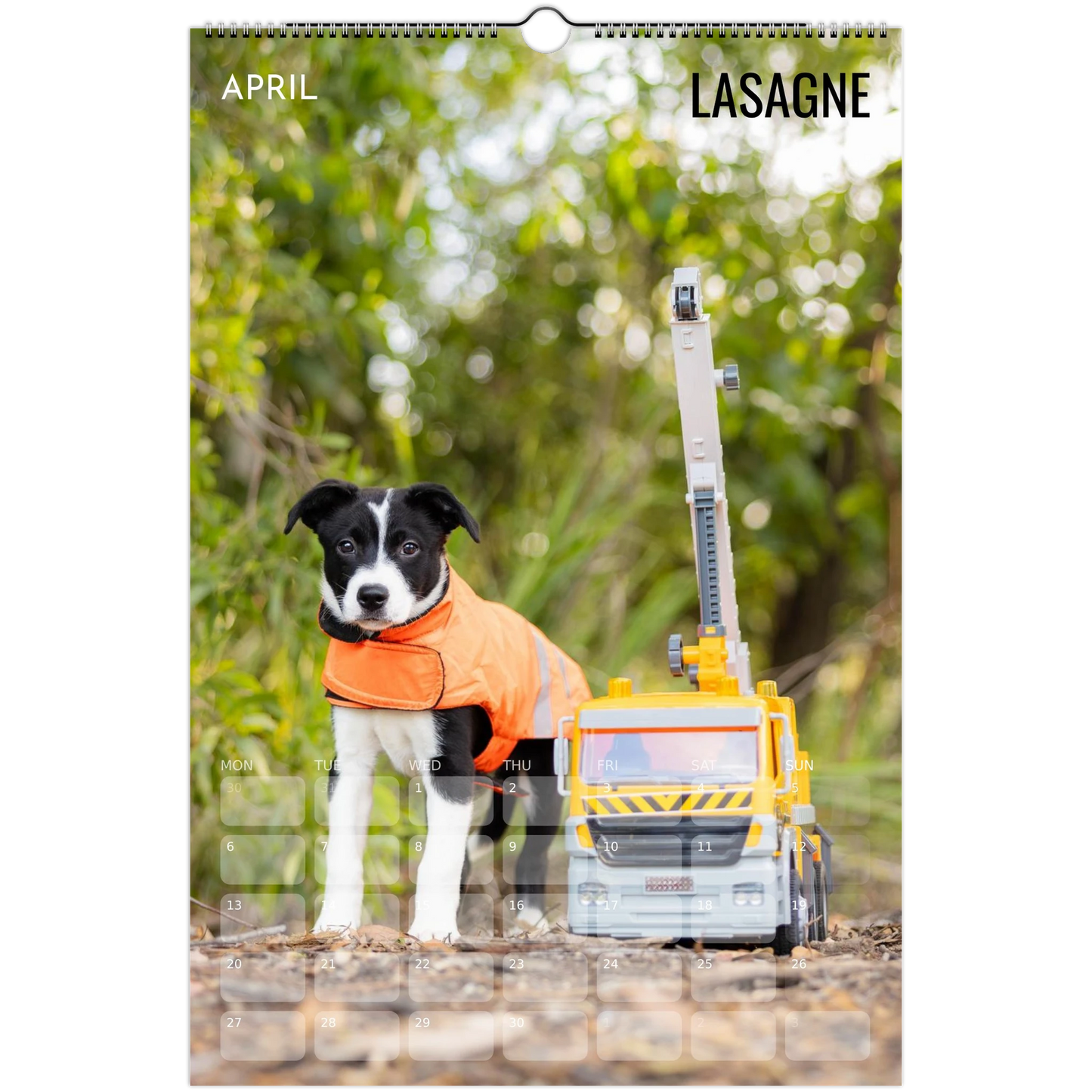 70dff324-4dc0-4096-aa38-9f6a65d07d98