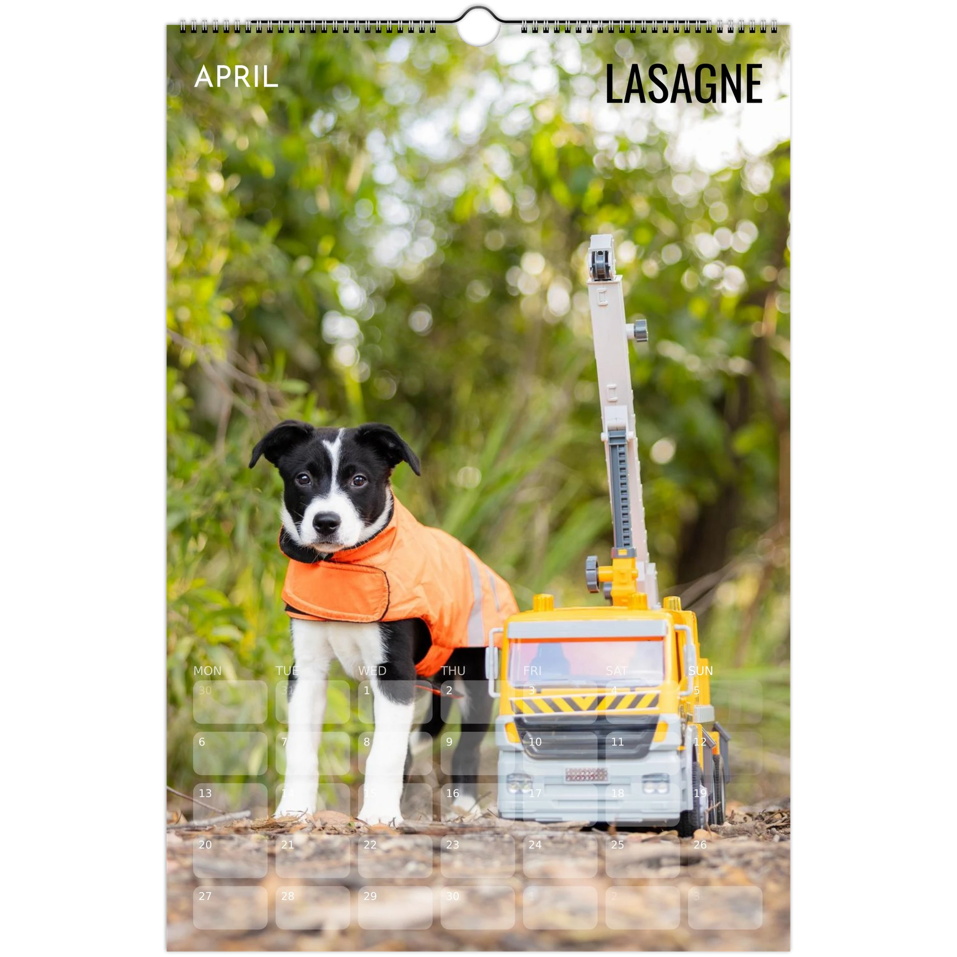 70dff324-4dc0-4096-aa38-9f6a65d07d98