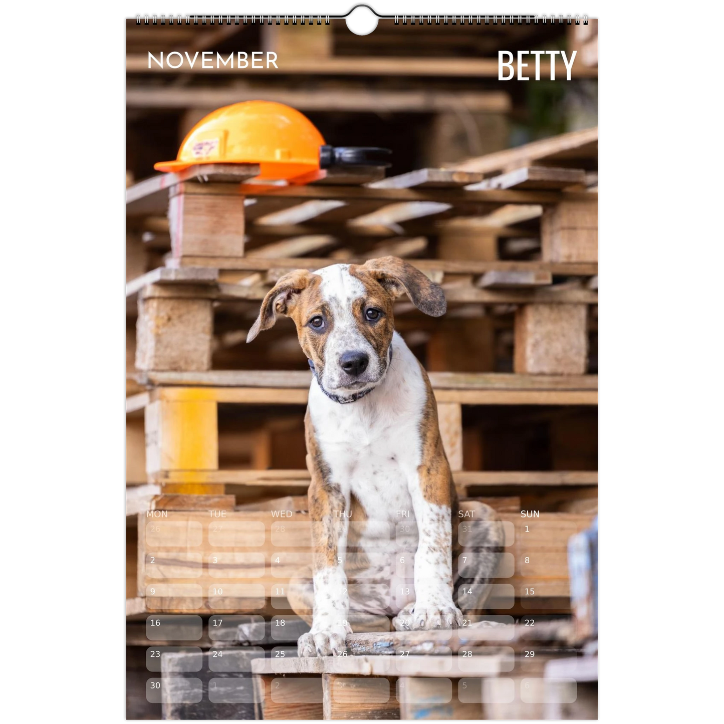 724d1db8-8ed1-4bc4-bf41-1cb0c7a20ce3