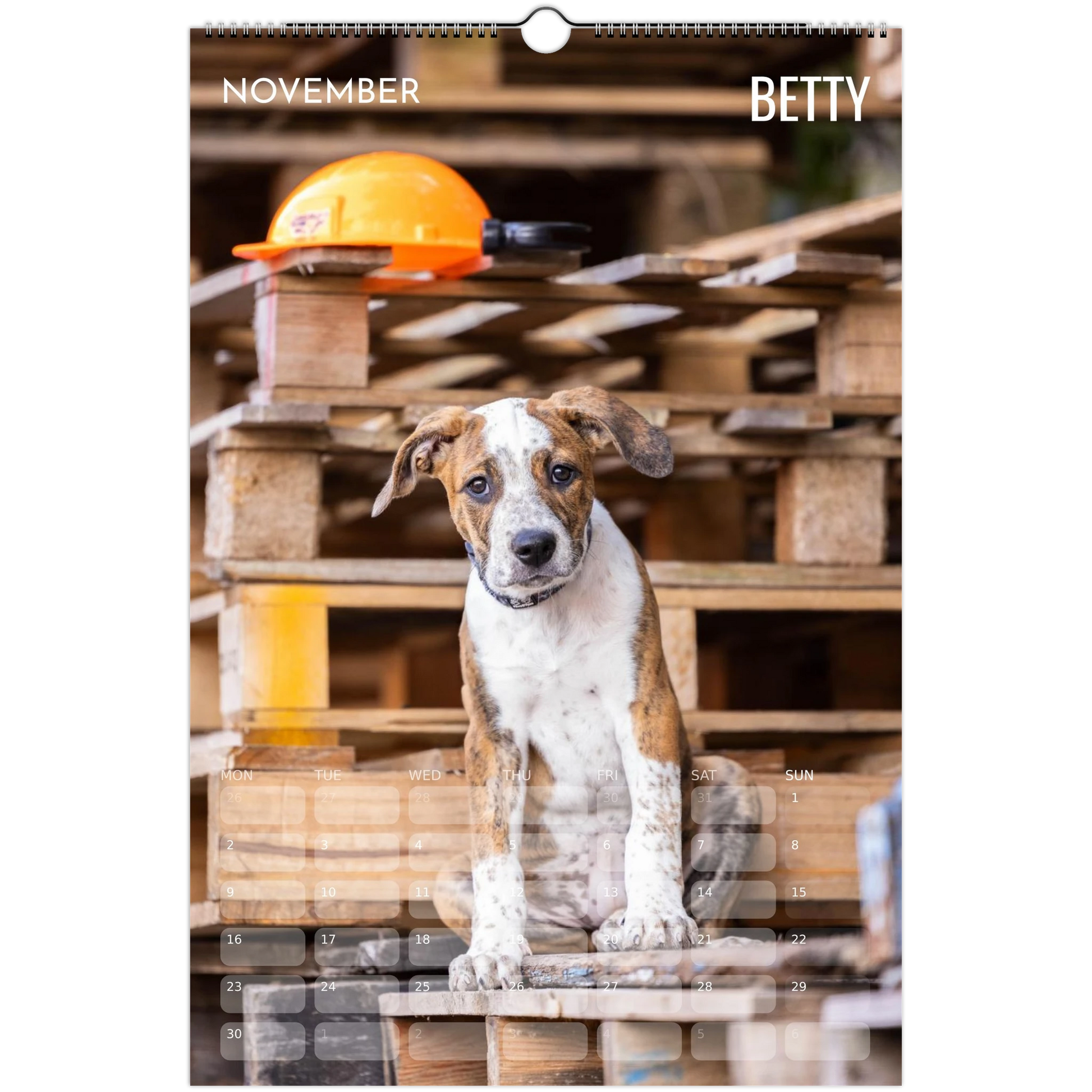 724d1db8-8ed1-4bc4-bf41-1cb0c7a20ce3