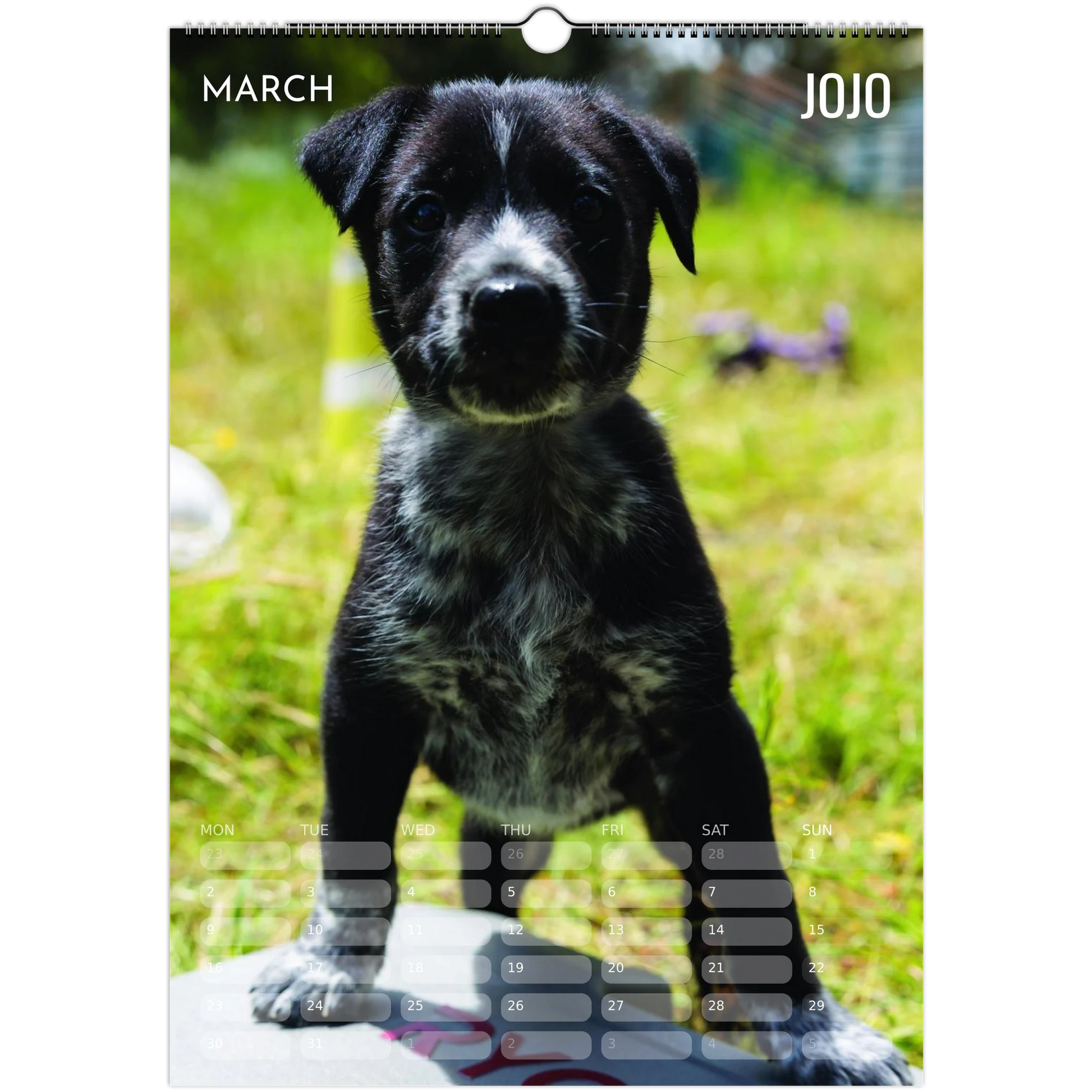 73b96c45-f2ca-4187-9e37-74c8054cda64