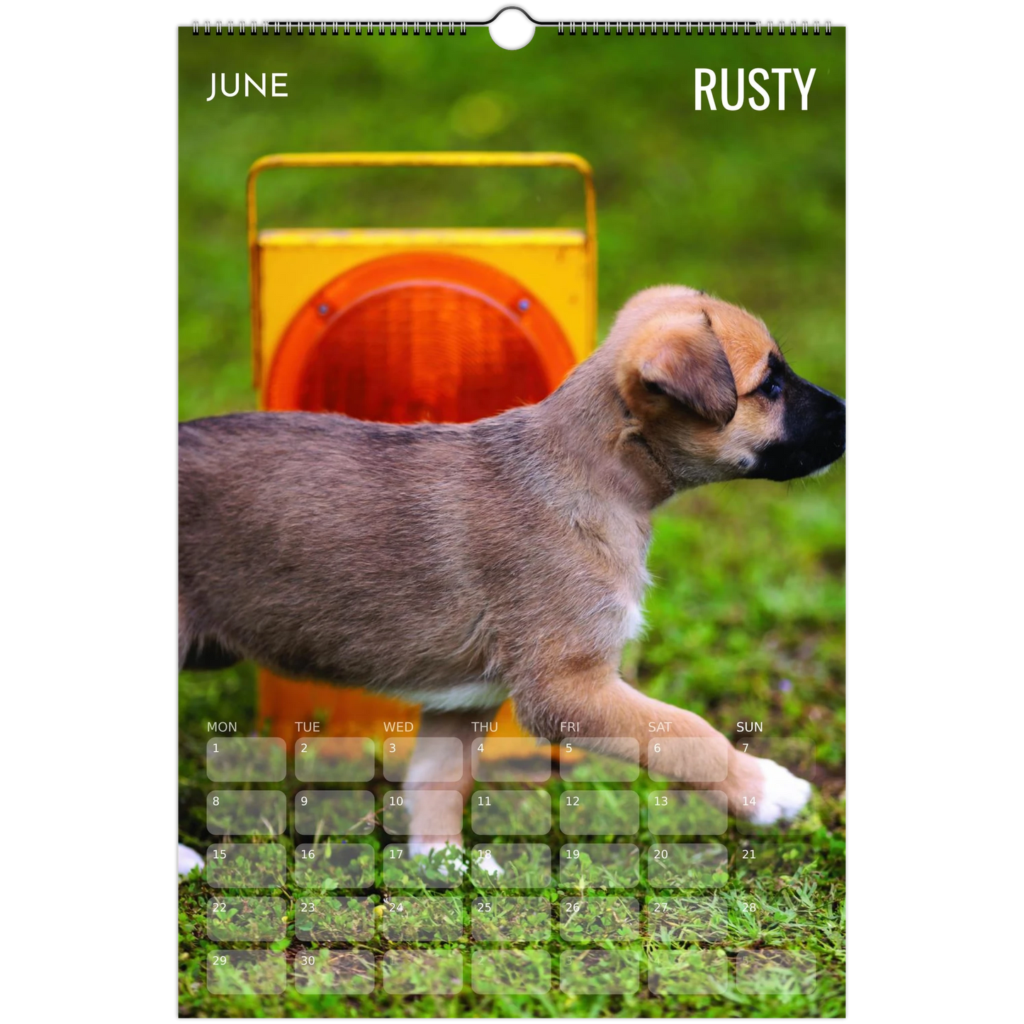 748bc218-64a0-472f-b8d0-05f2bdf24eb9