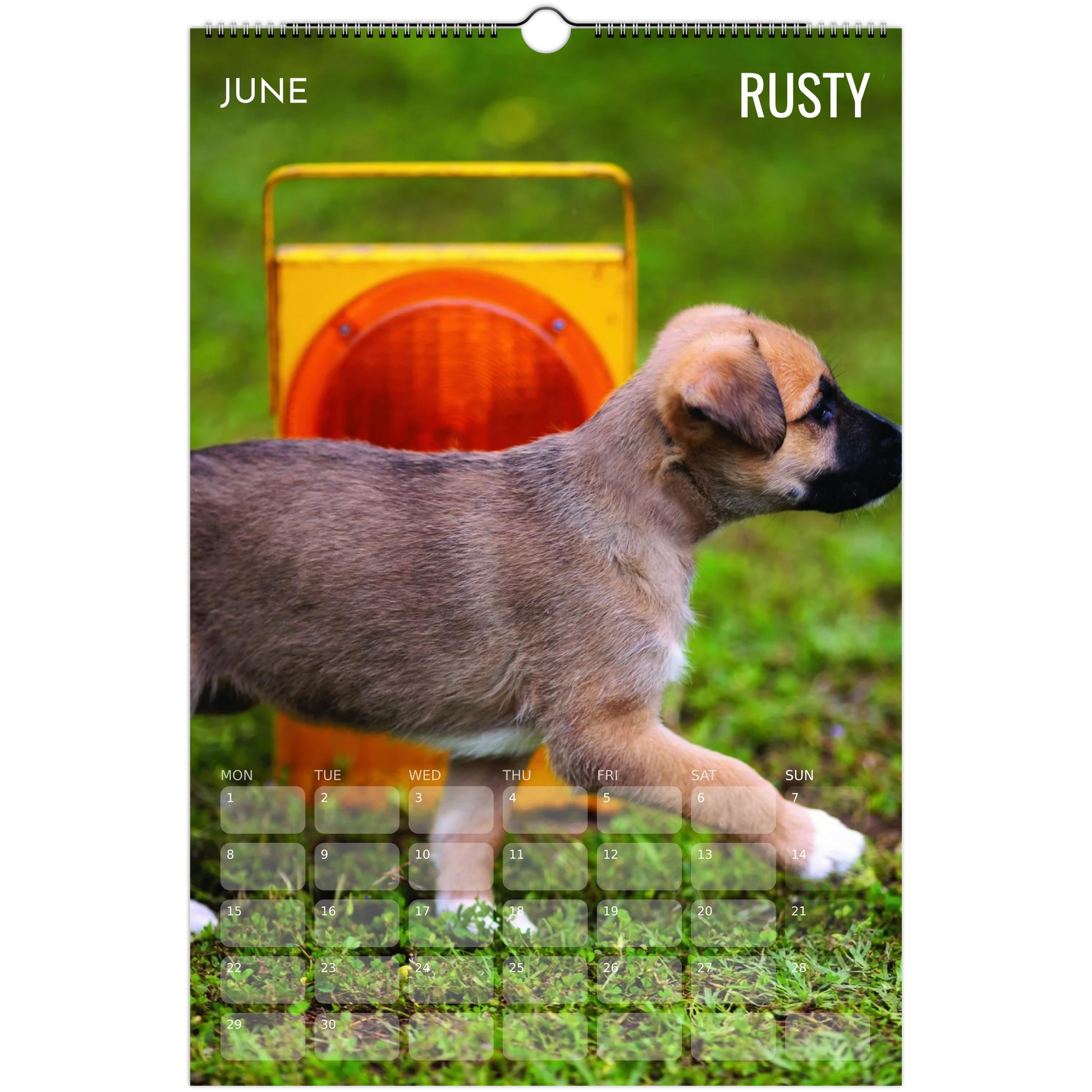 748bc218-64a0-472f-b8d0-05f2bdf24eb9