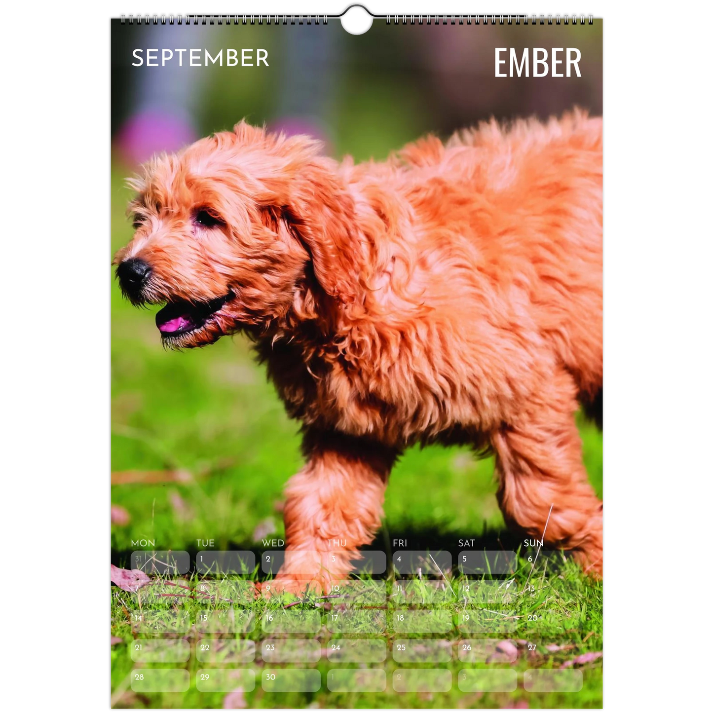 766212e9-160d-4a4e-9328-64fbf821df99