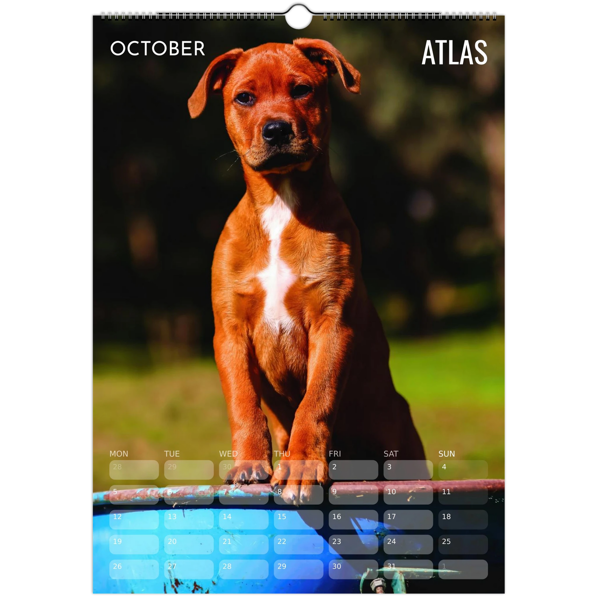 76bc204f-fd7f-4521-9457-c76513e716b9