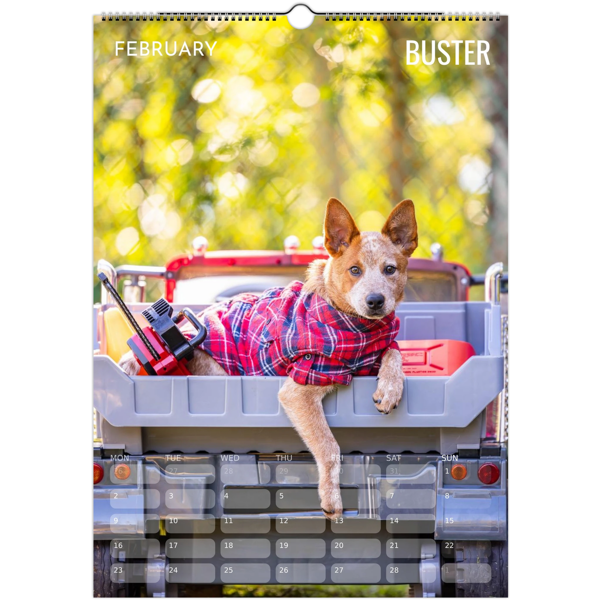 78b38a3c-52e3-40a1-b9a1-cc4e2f6003ea