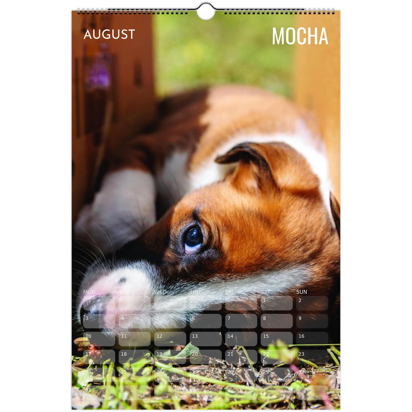 79b0118b-5924-4fb9-9044-61405adcd919