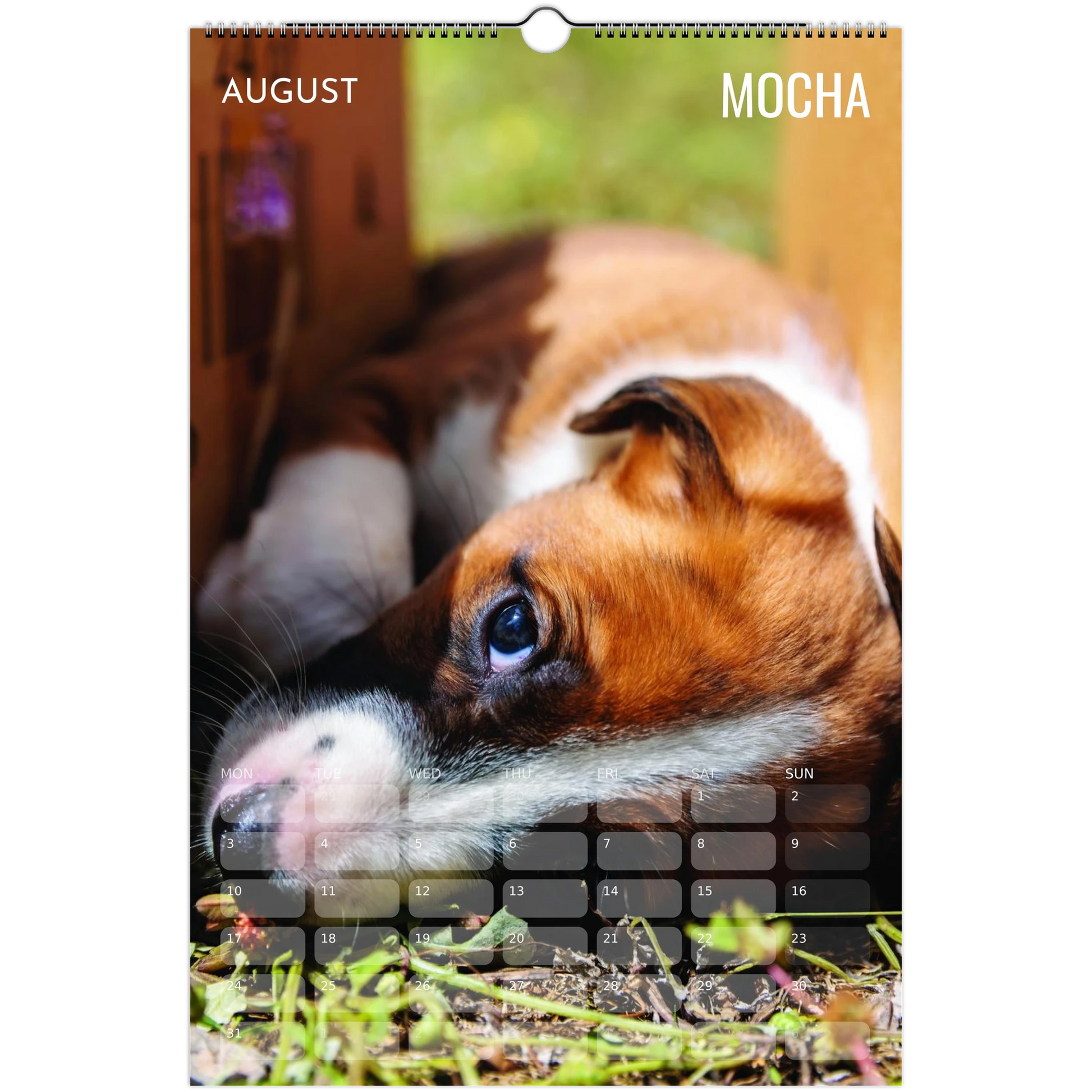 79b0118b-5924-4fb9-9044-61405adcd919