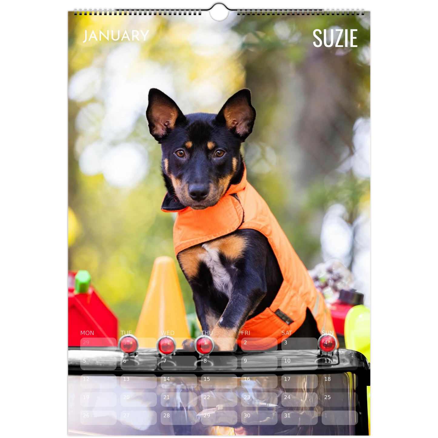 7c6a3907-d78e-49b6-92cf-68c72497ee9b