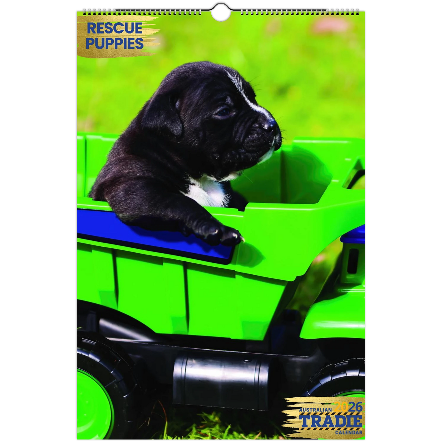 86d92f98-1bd5-4e4f-b2ff-f460886d105c