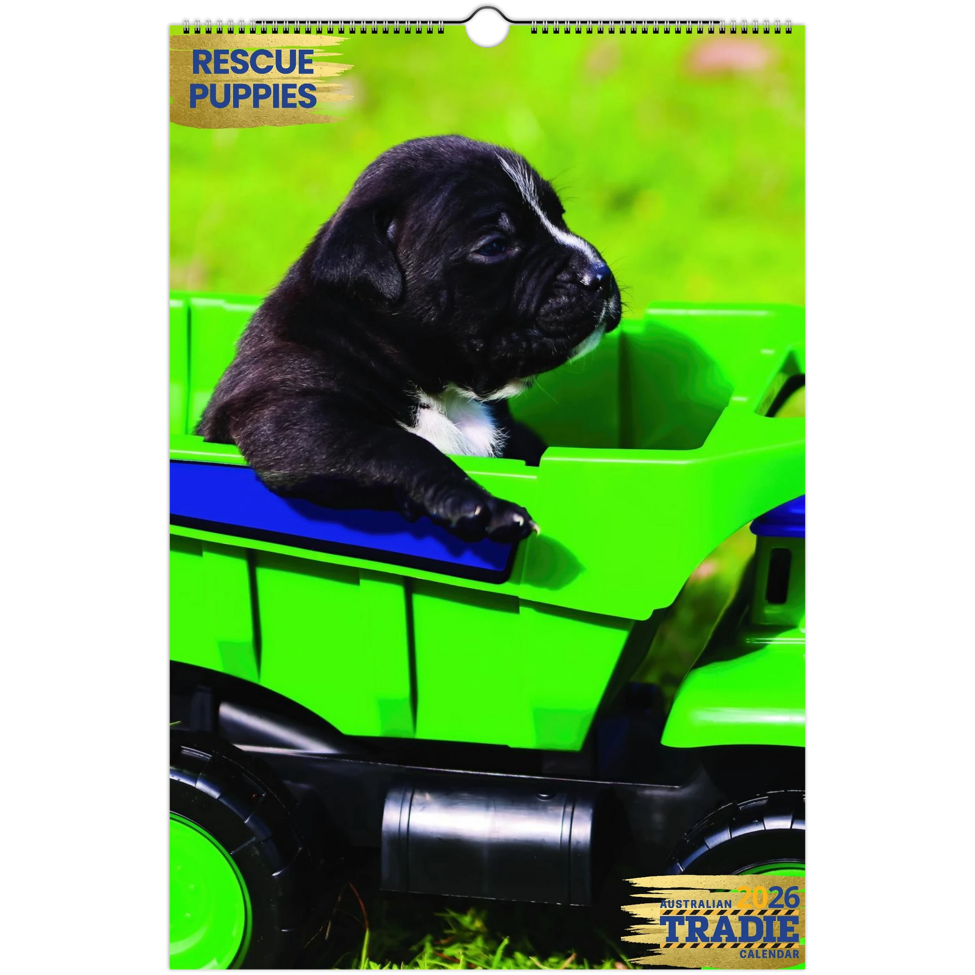 86d92f98-1bd5-4e4f-b2ff-f460886d105c