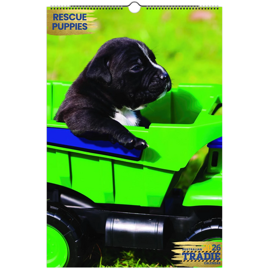 86d92f98-1bd5-4e4f-b2ff-f460886d105c