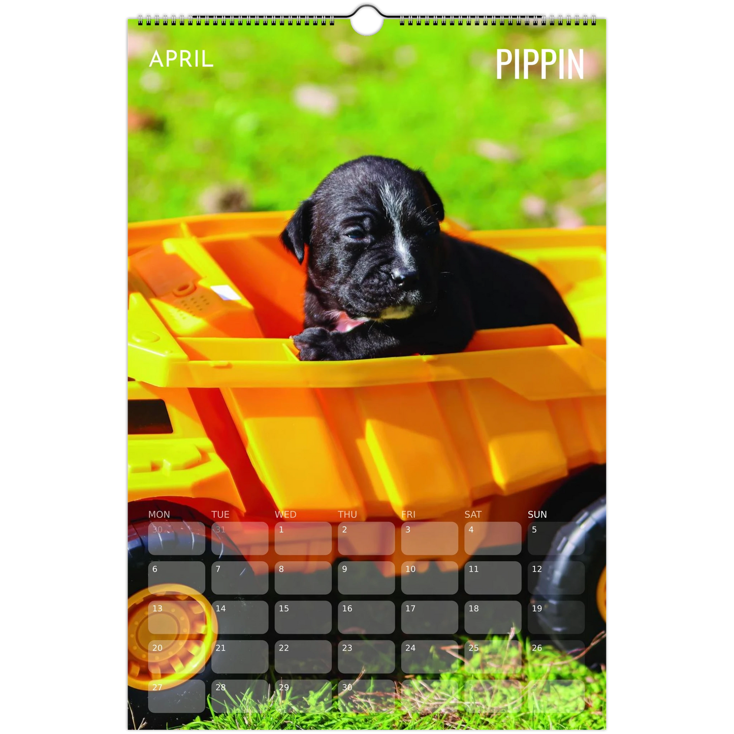 8779627d-5990-4d8d-88f7-3275e8ae76ed