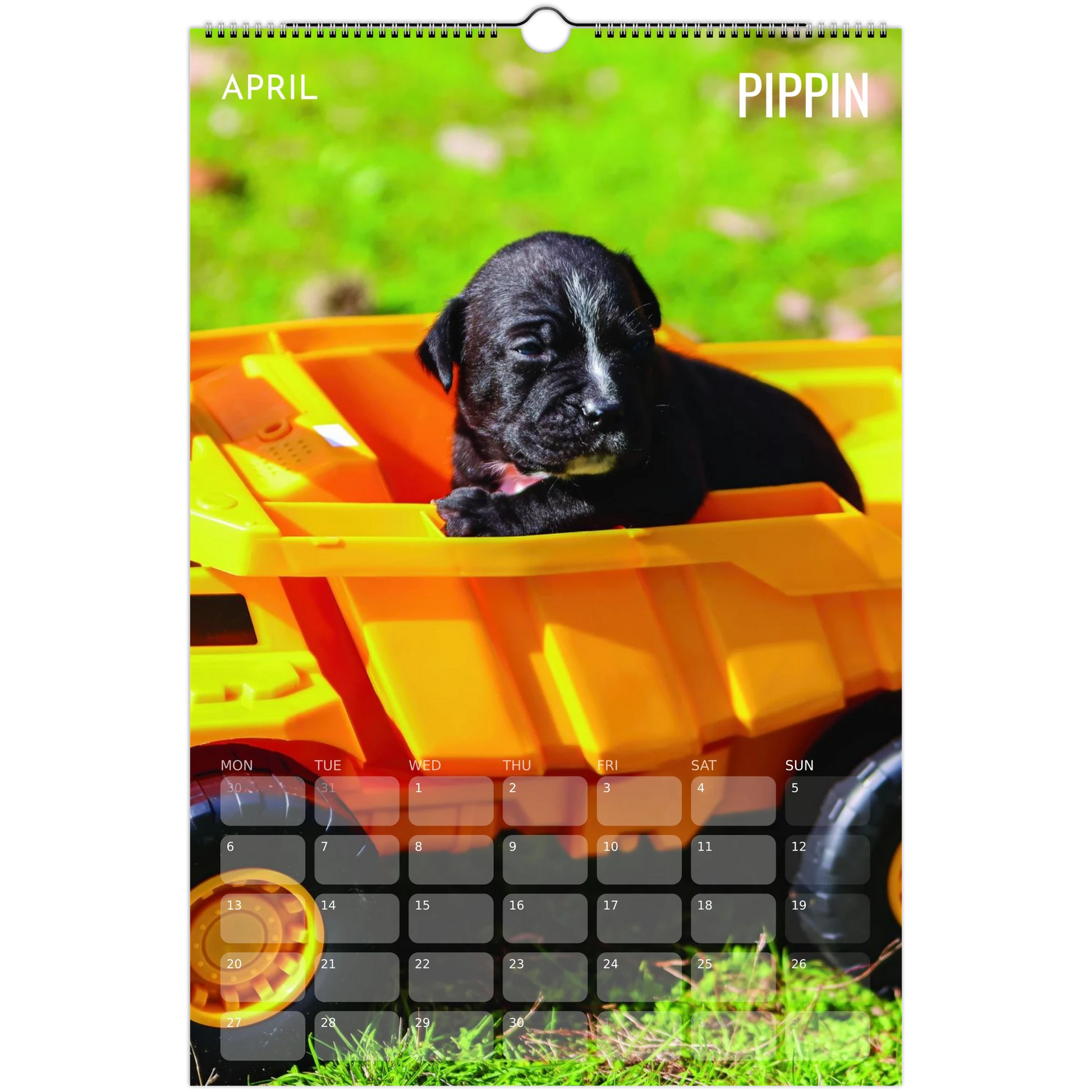 8779627d-5990-4d8d-88f7-3275e8ae76ed