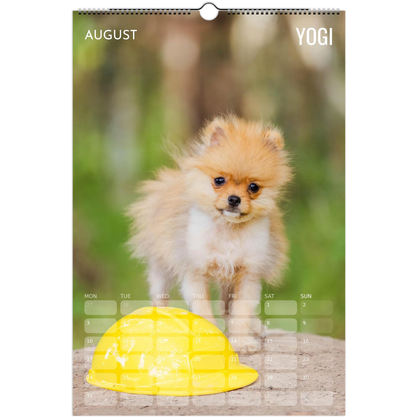 91fe4cca-9654-42db-bba5-e69fa68df0f0