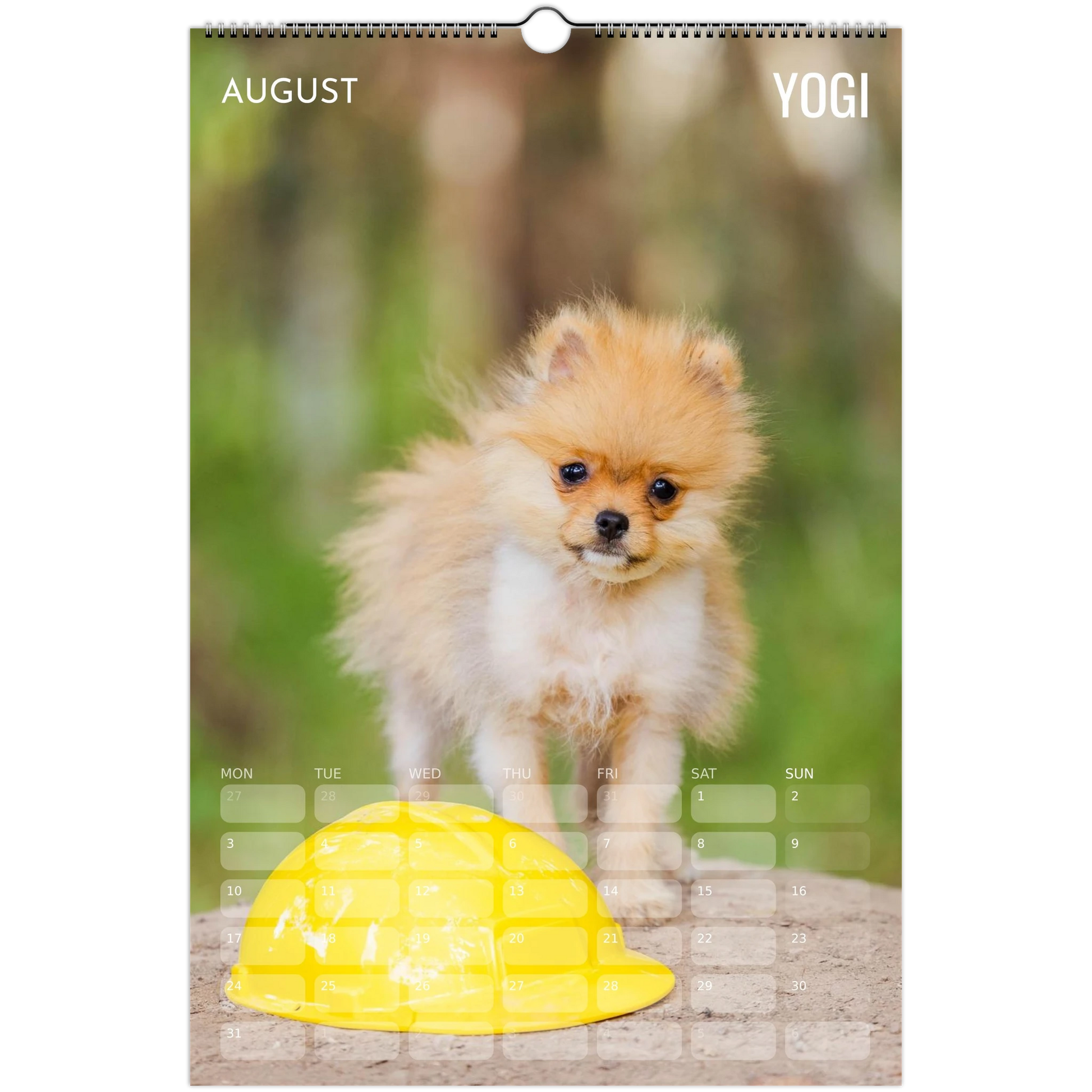 91fe4cca-9654-42db-bba5-e69fa68df0f0