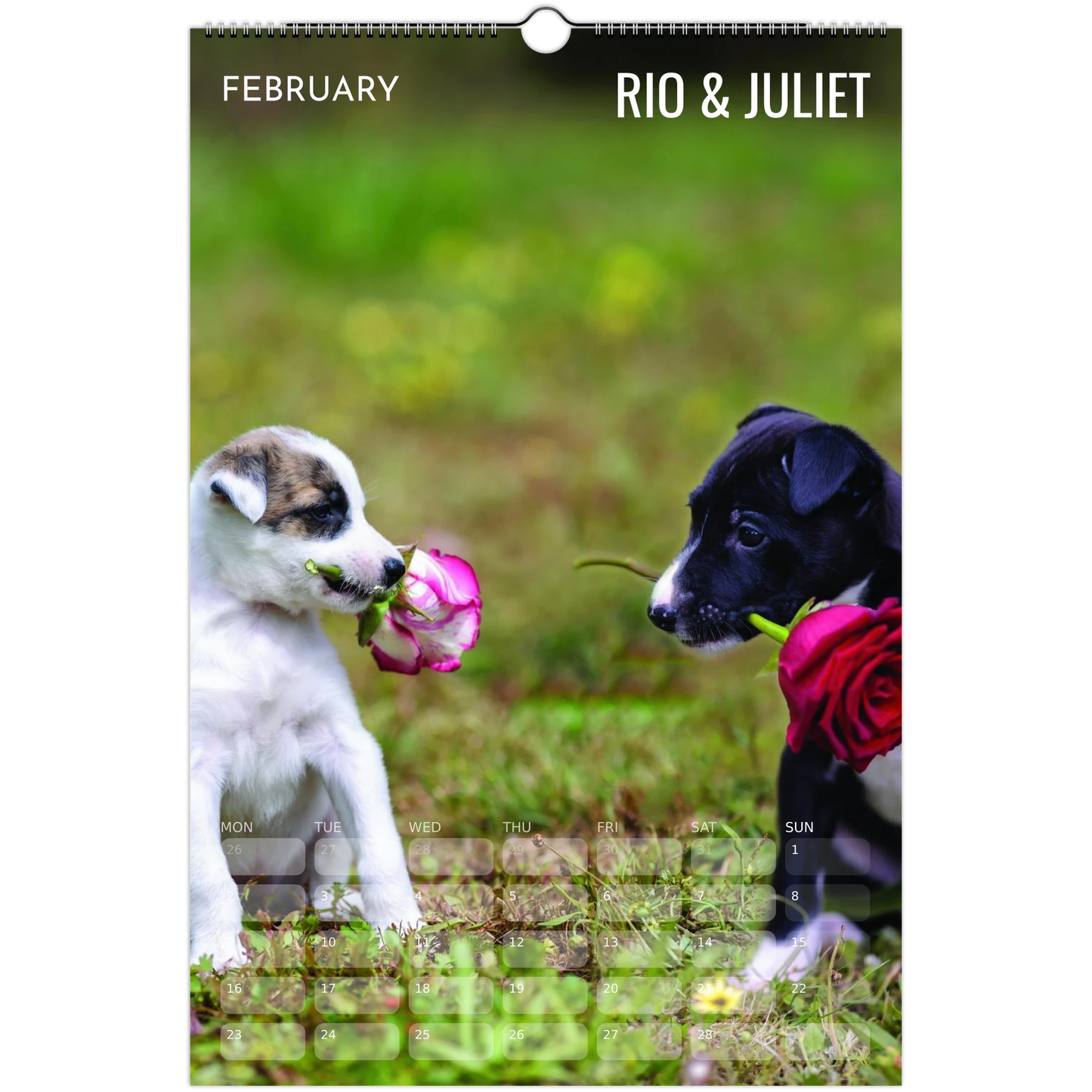 934b27cf-079a-4ff6-8866-b72c6cef9cdc