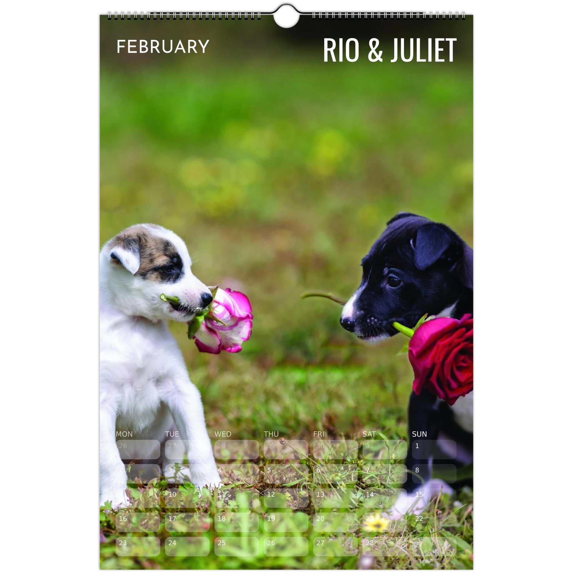 934b27cf-079a-4ff6-8866-b72c6cef9cdc