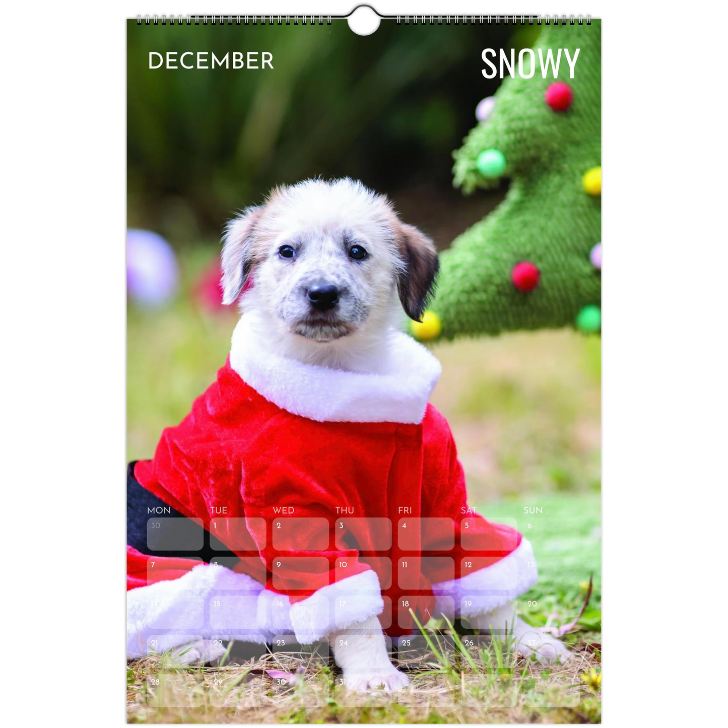 9c1cd133-cf54-41e5-8e86-7329242e1c7b