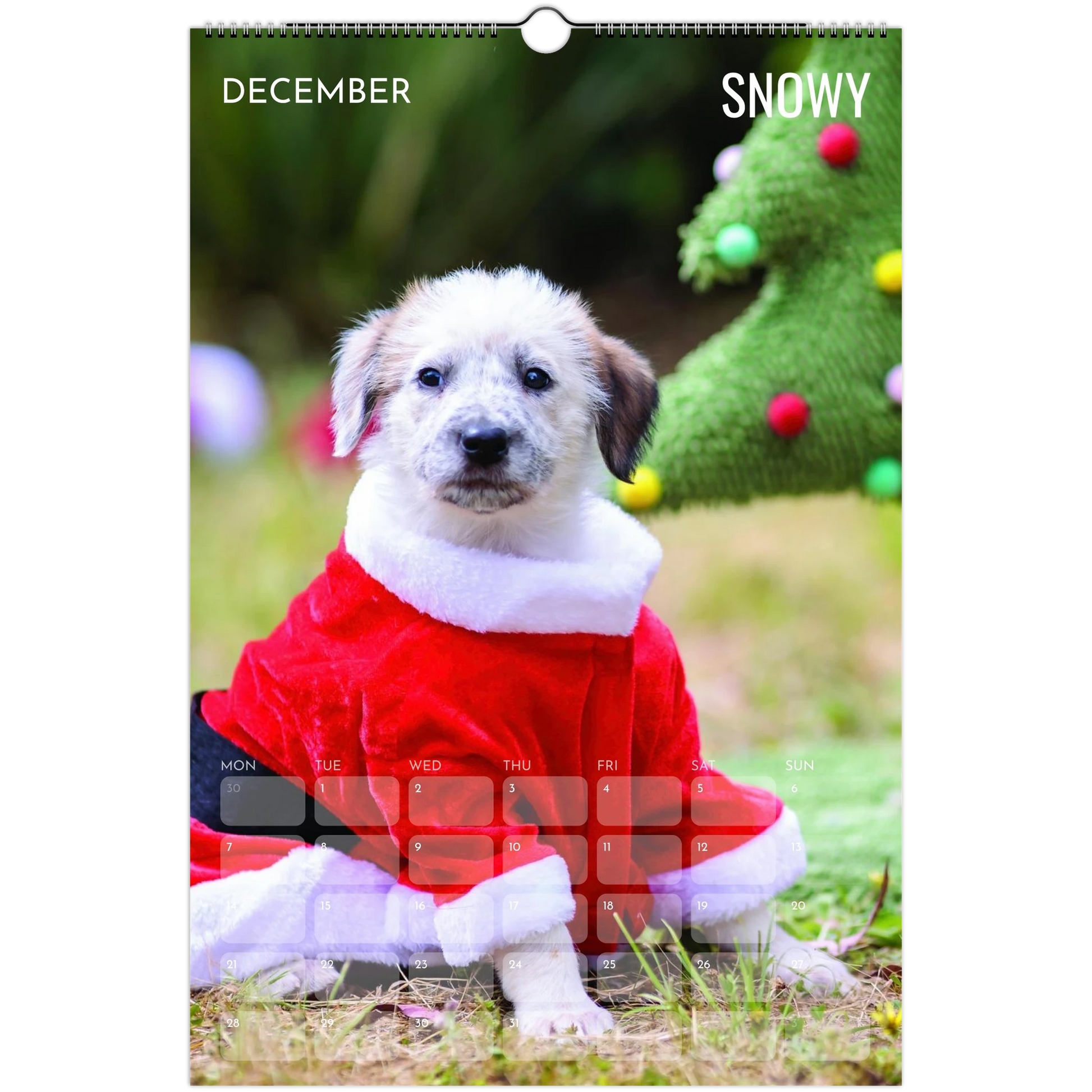 9c1cd133-cf54-41e5-8e86-7329242e1c7b