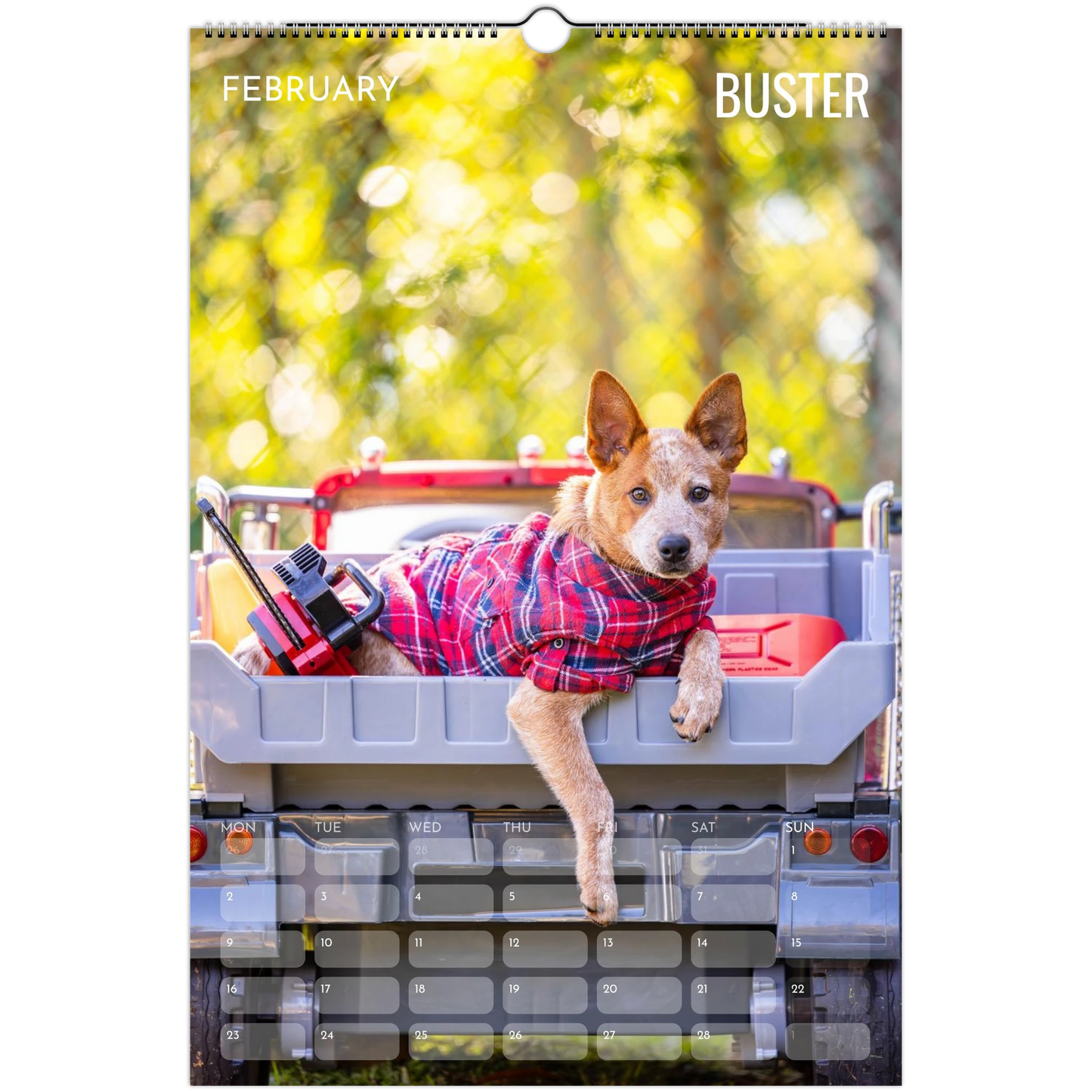 9c877e30-cc23-491f-be16-13eb0ccf15c9