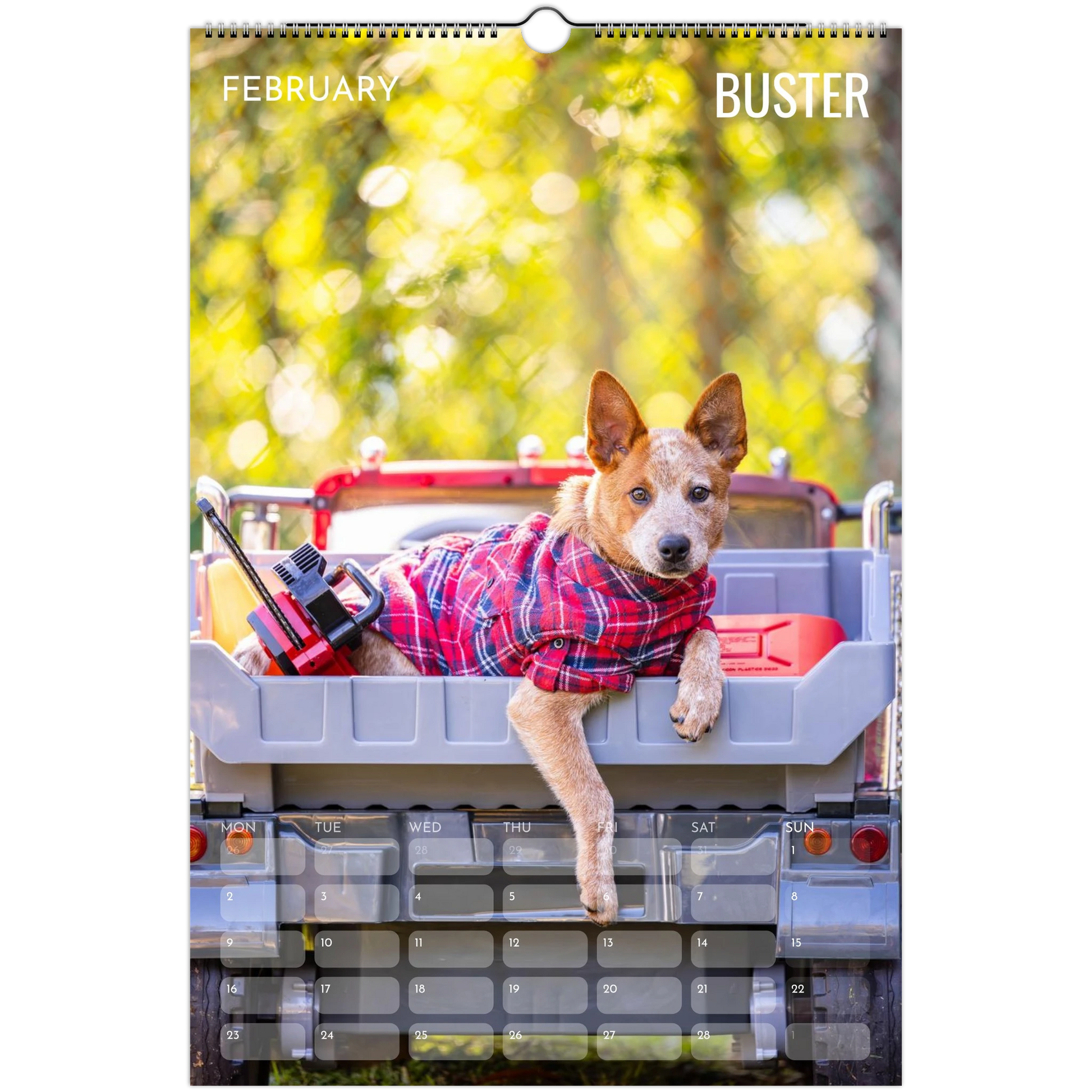 9c877e30-cc23-491f-be16-13eb0ccf15c9