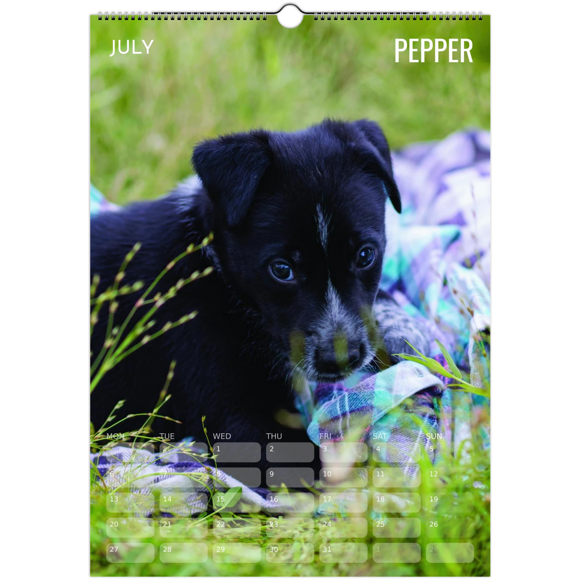 a0e1d833-596e-46f0-817e-f45cced2afa9