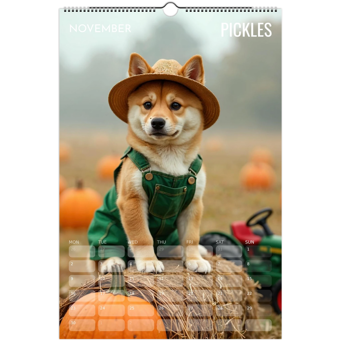 a58e37bd-626a-4059-9520-df22a2621924