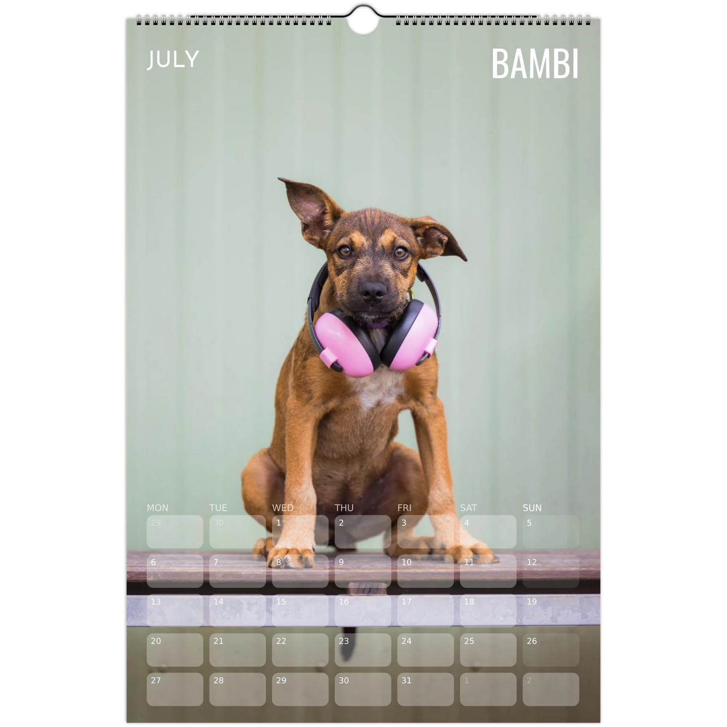 a9960154-ee0c-40ab-9a2b-4f7aa8e89428