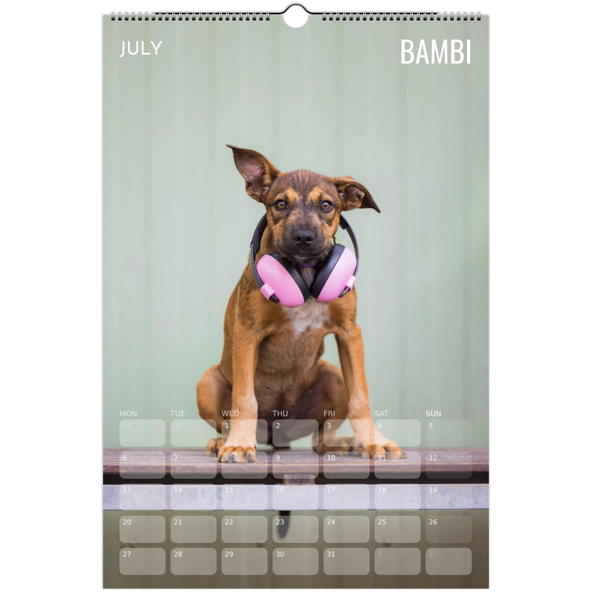 a9960154-ee0c-40ab-9a2b-4f7aa8e89428