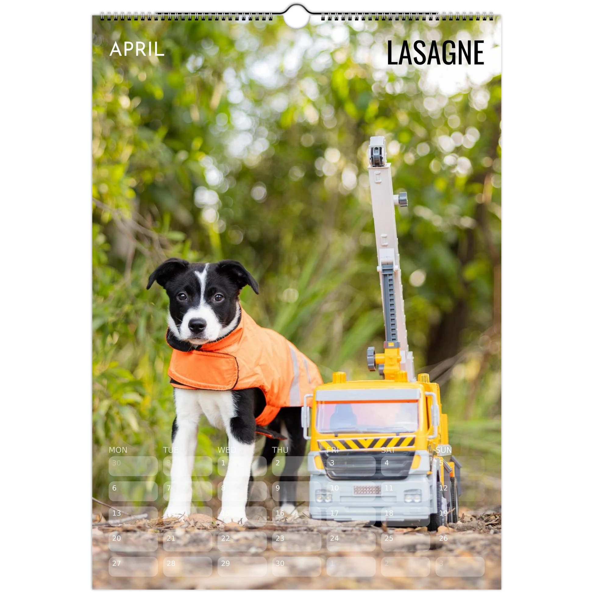 ab3f459f-ce9d-418f-9f7b-37cc3d1d30d0