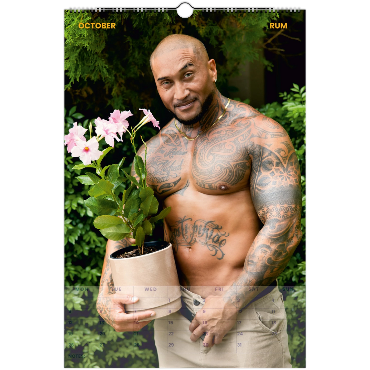 adbd2fc8-0e4b-4f44-8b27-3d0979cea69c