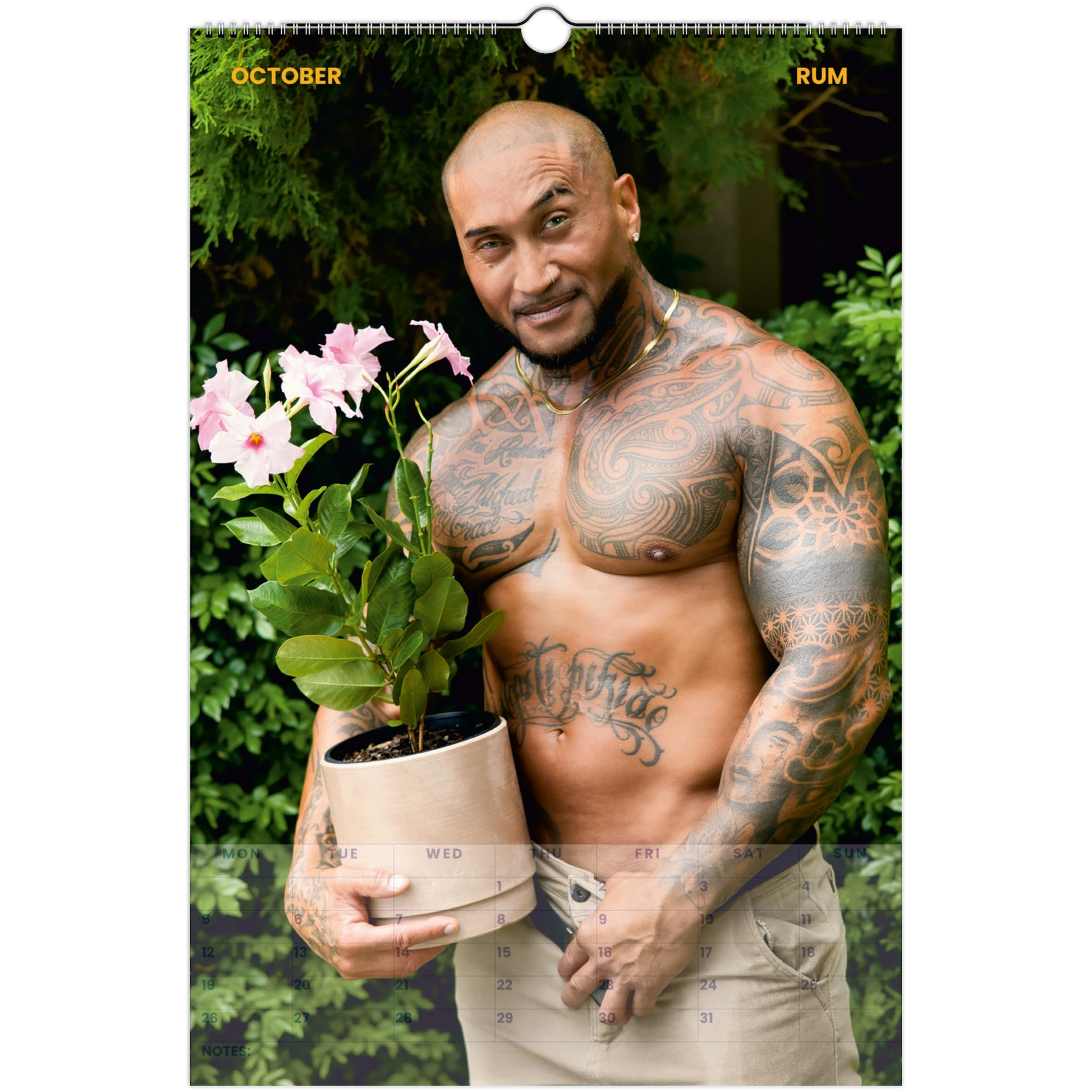 adbd2fc8-0e4b-4f44-8b27-3d0979cea69c