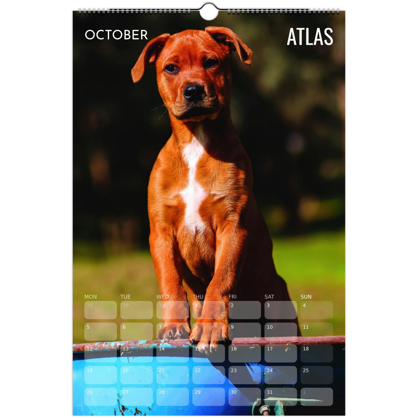 afee5d34-e3f3-46ba-ae10-c07f68f66cf1