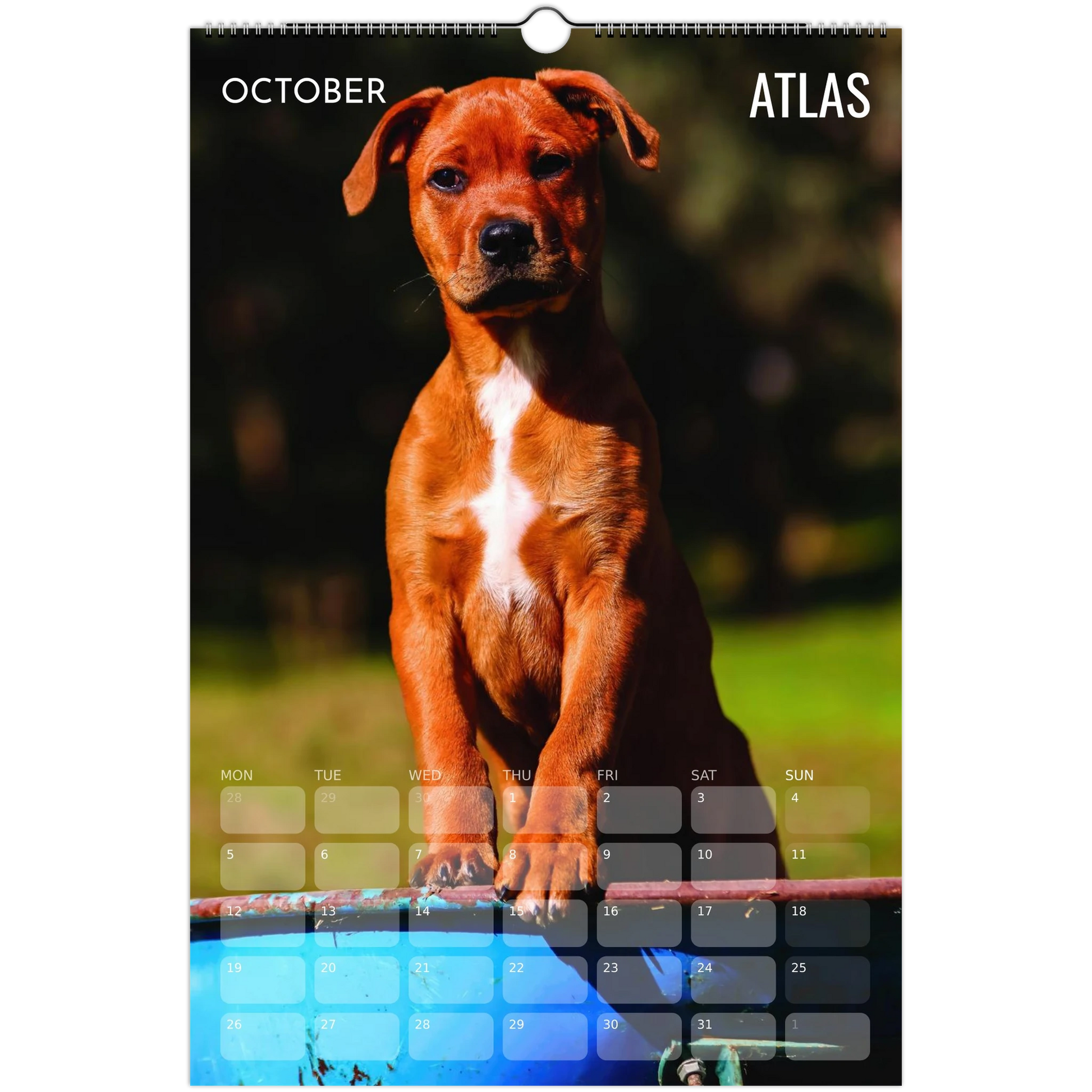 afee5d34-e3f3-46ba-ae10-c07f68f66cf1