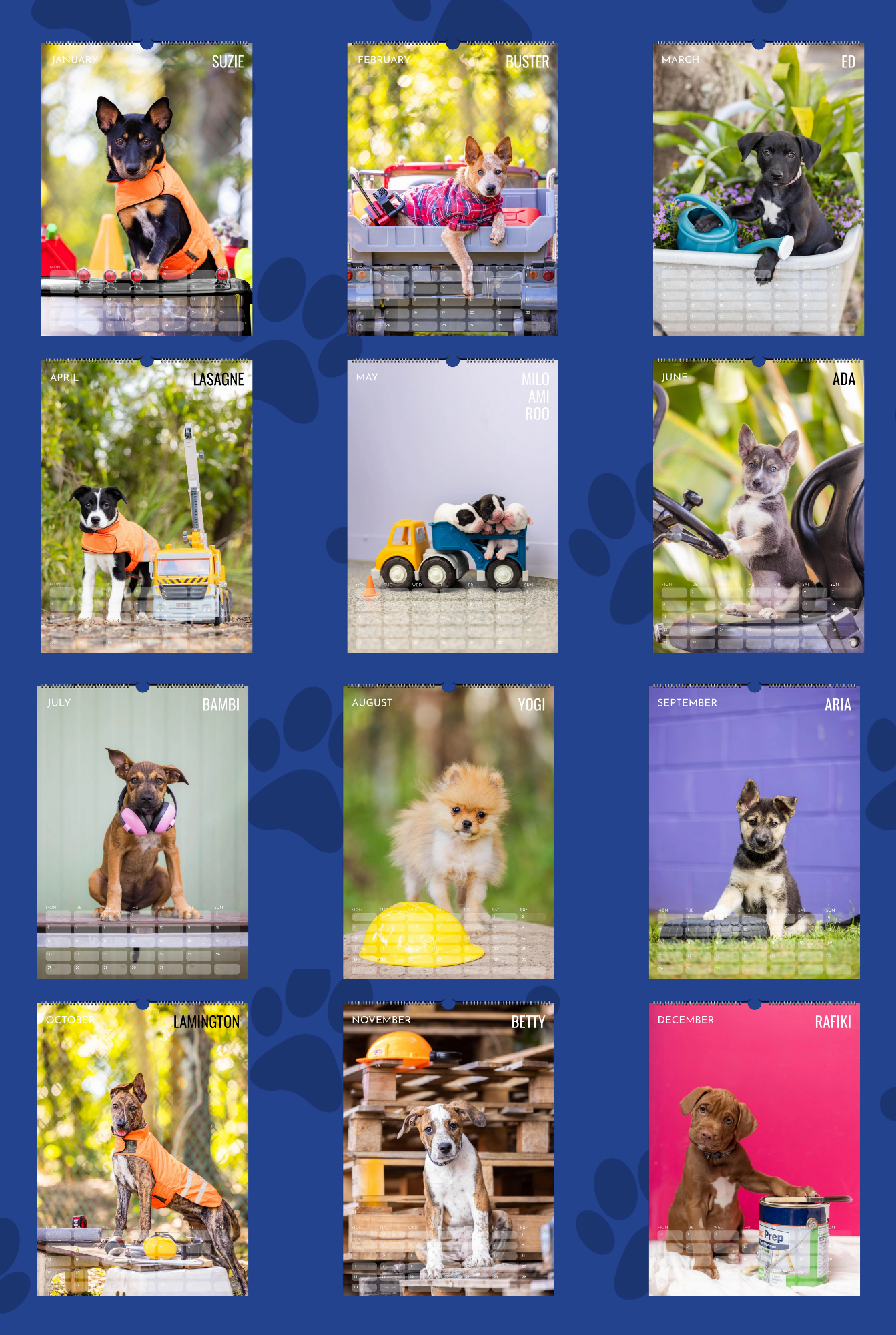 Rescue Puppy 2026 - Ship To Non US & CA