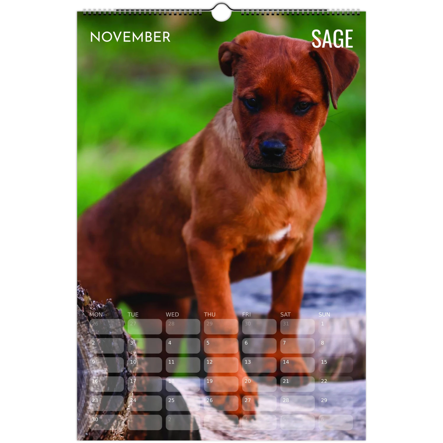 b15c42db-6657-4701-b997-d098745d7e63