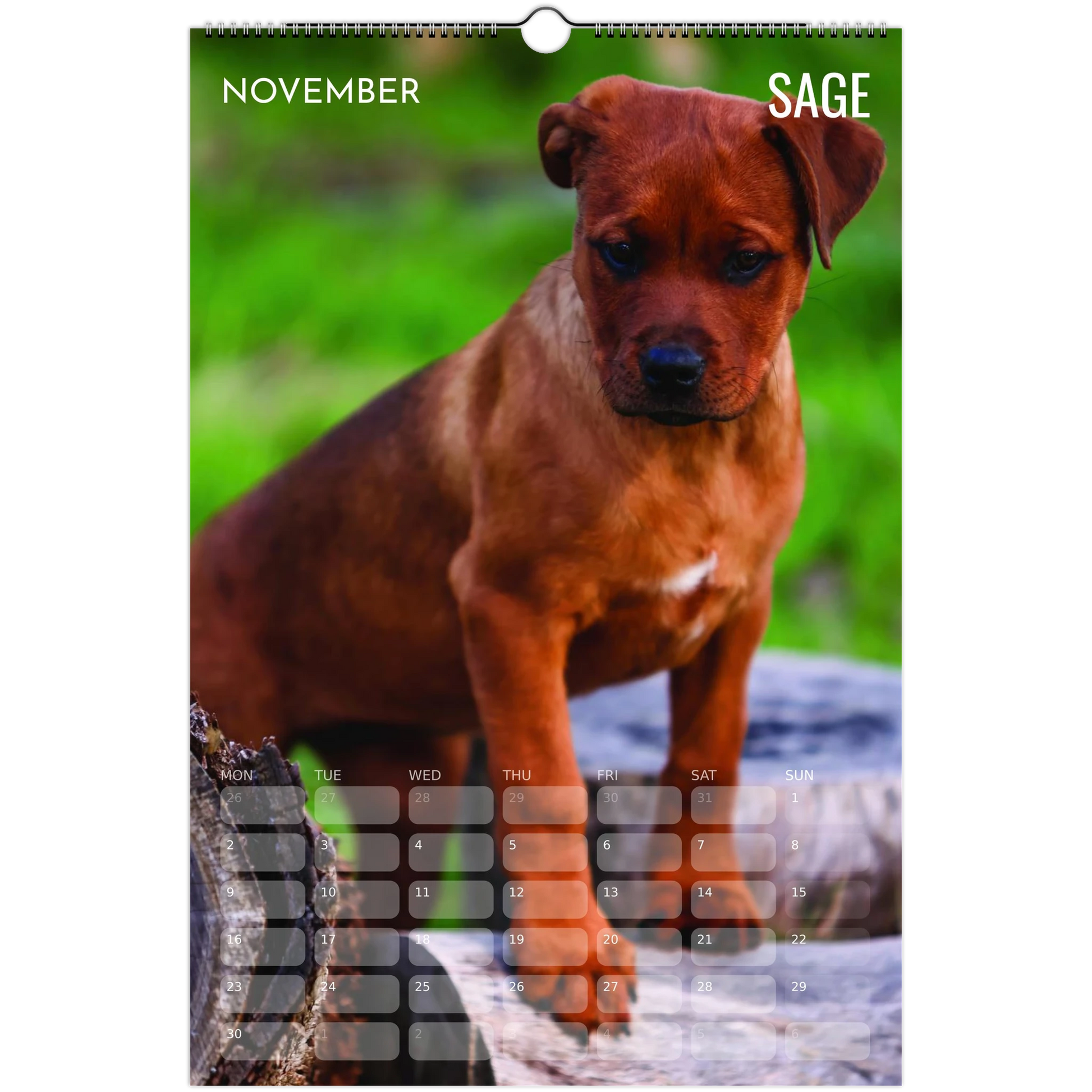 b15c42db-6657-4701-b997-d098745d7e63