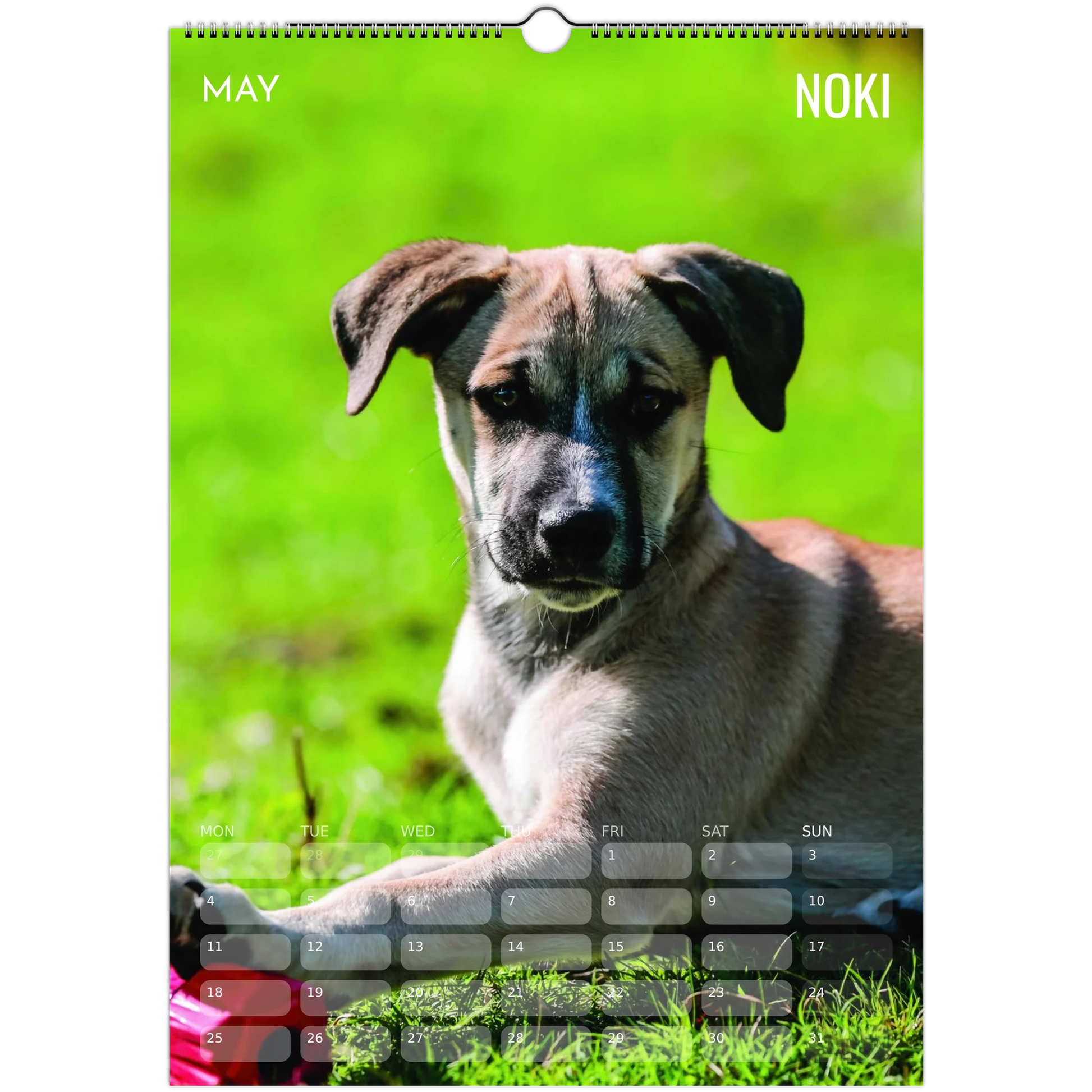 b213c1d3-ffcf-48ab-861b-c2e7bb11d804