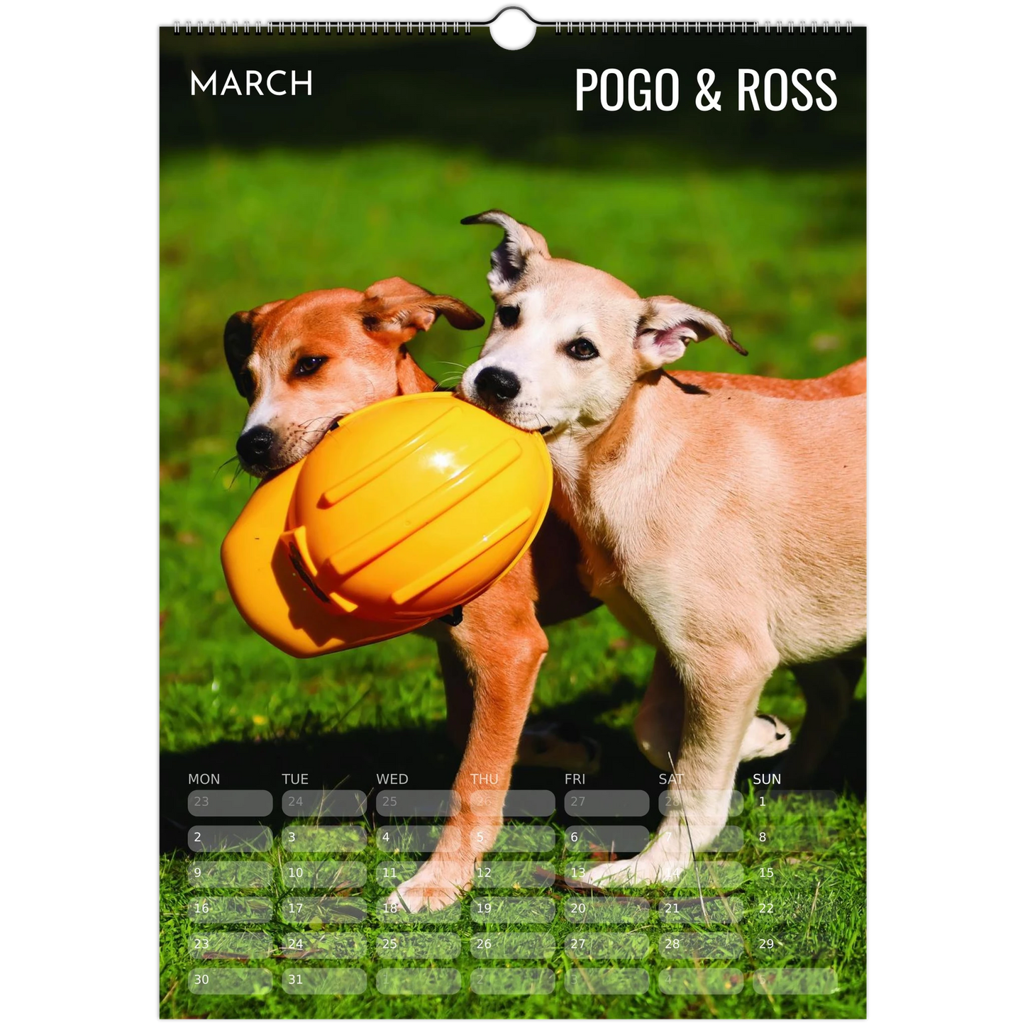 b27545ef-ab8c-4421-9212-c131927249b9