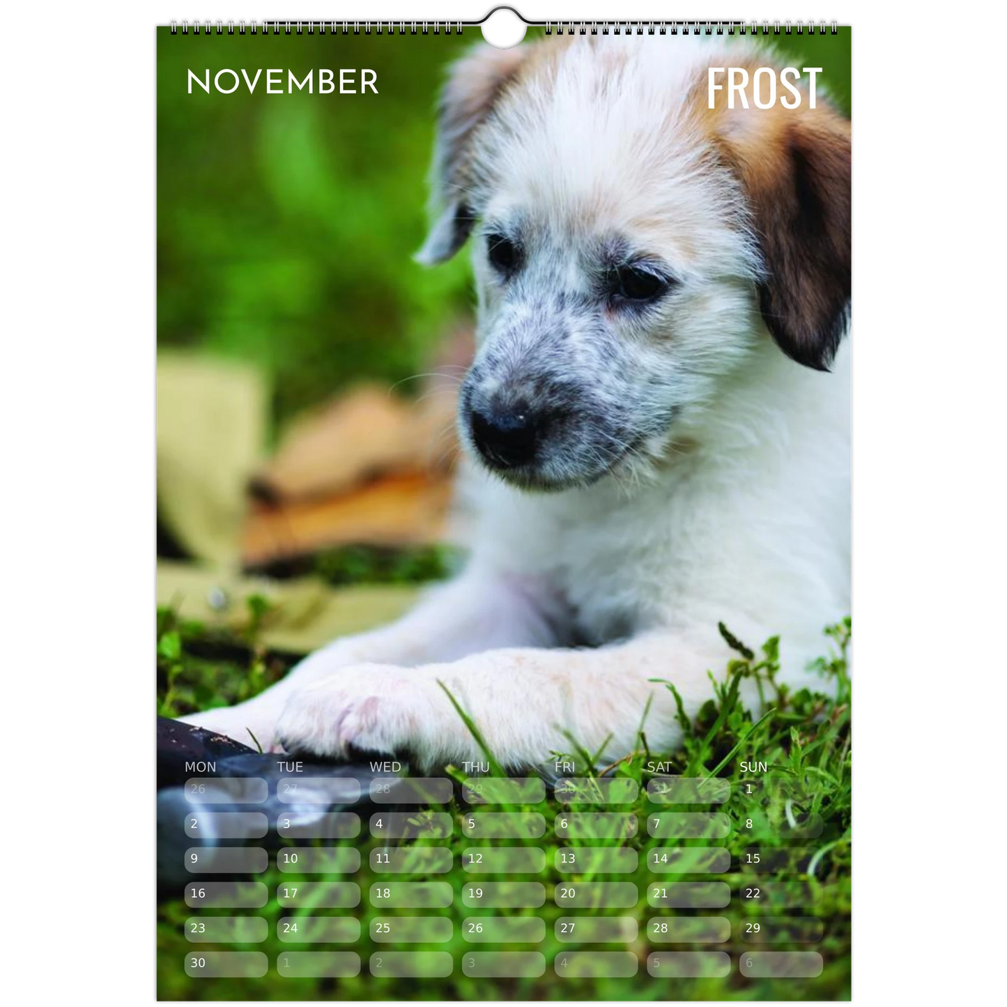 b28585a3-5112-48a2-b5d6-439fbb2d0a4b