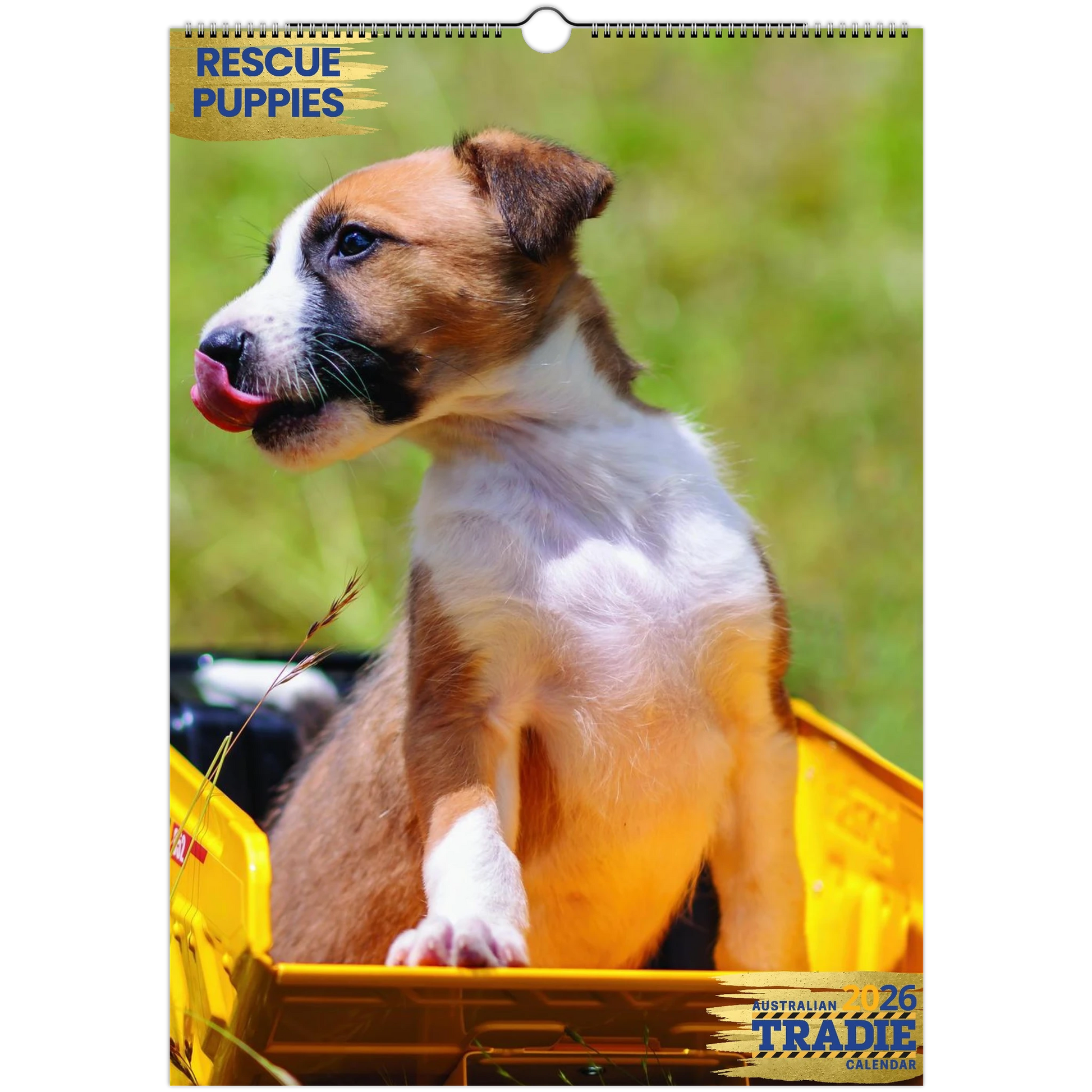 b5ad9545-d31b-4750-8faf-758aefd3192f