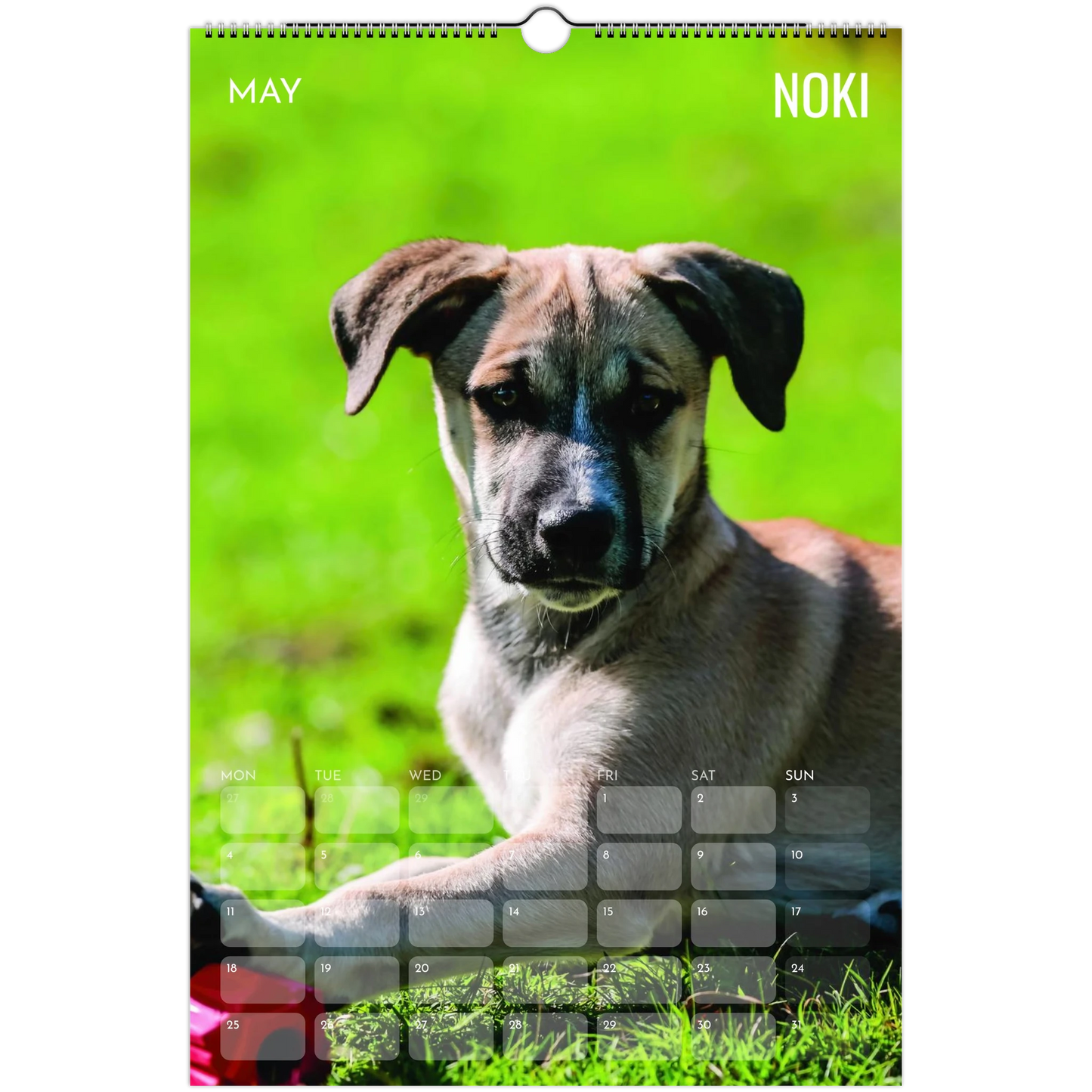 bcf436a2-d517-4b22-92c2-3055ef44a155