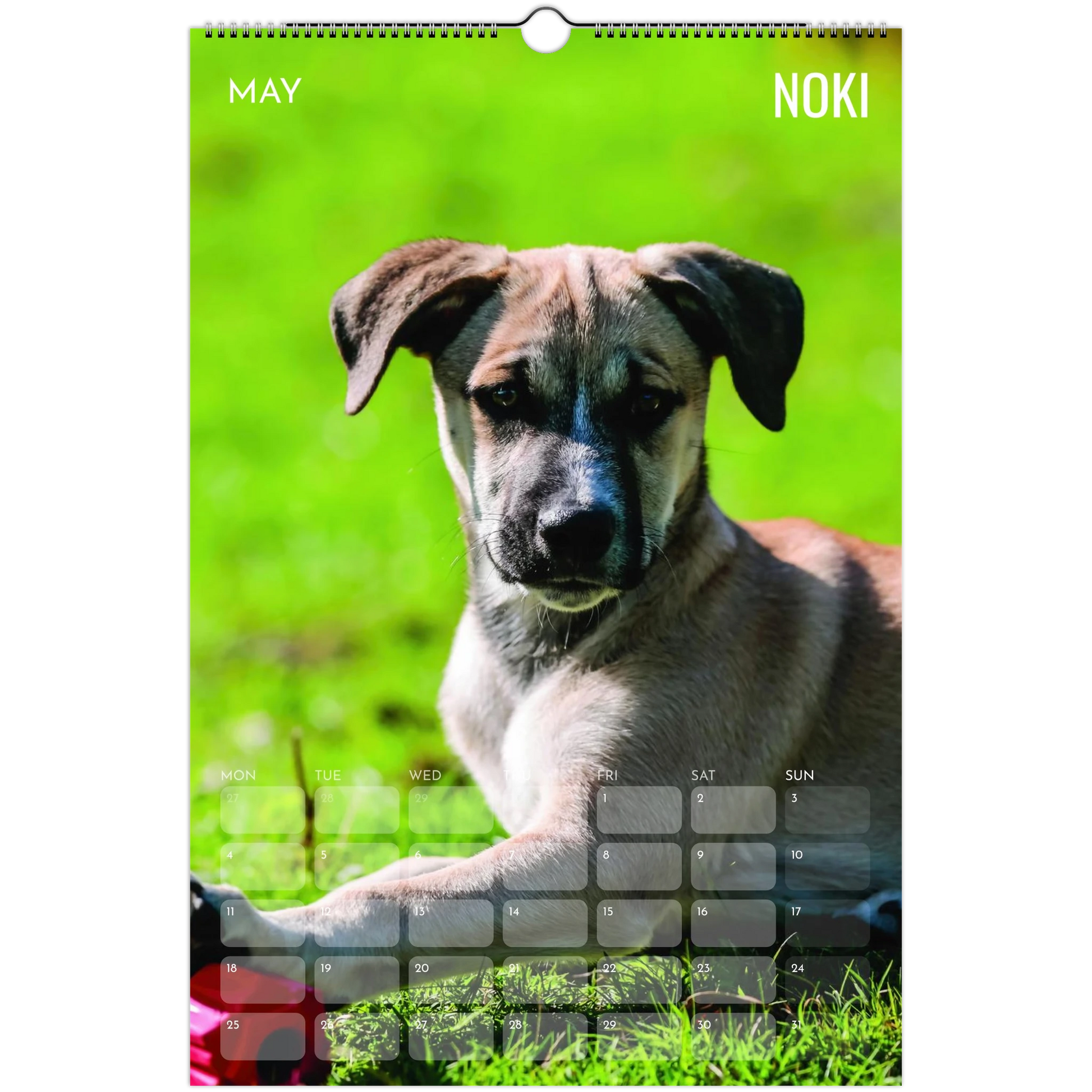 bcf436a2-d517-4b22-92c2-3055ef44a155