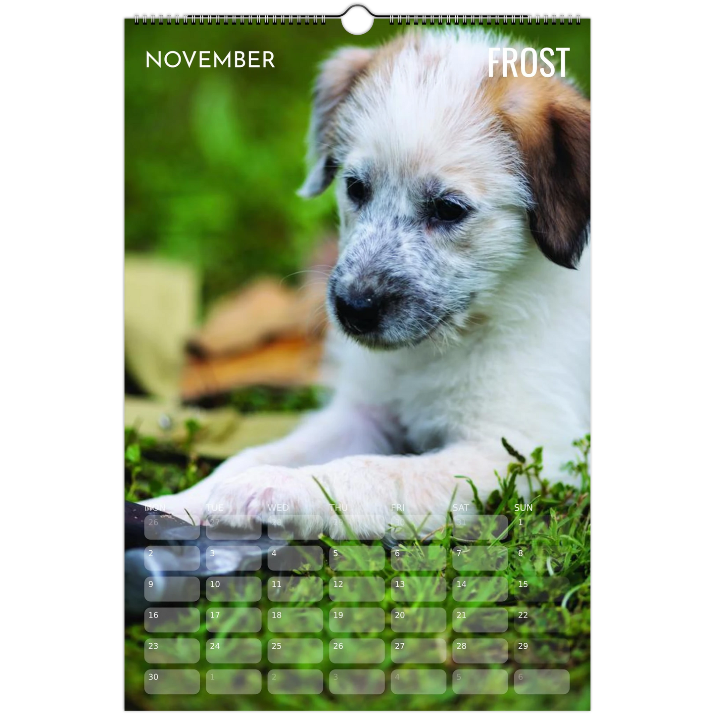 c7ad7e8a-8000-4e8f-89d1-6300a2ef8647