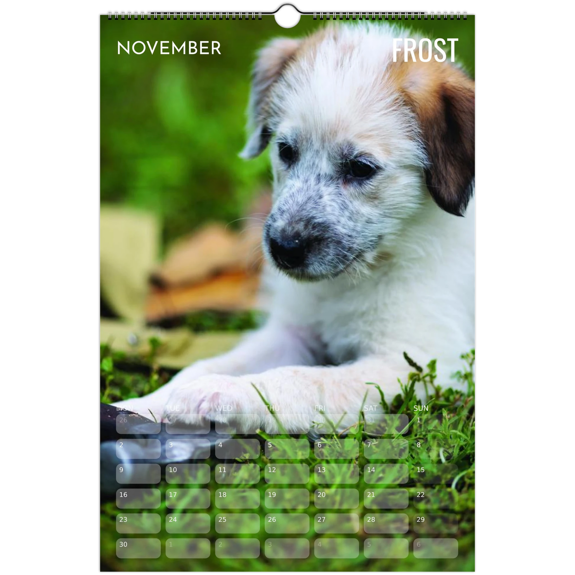 c7ad7e8a-8000-4e8f-89d1-6300a2ef8647