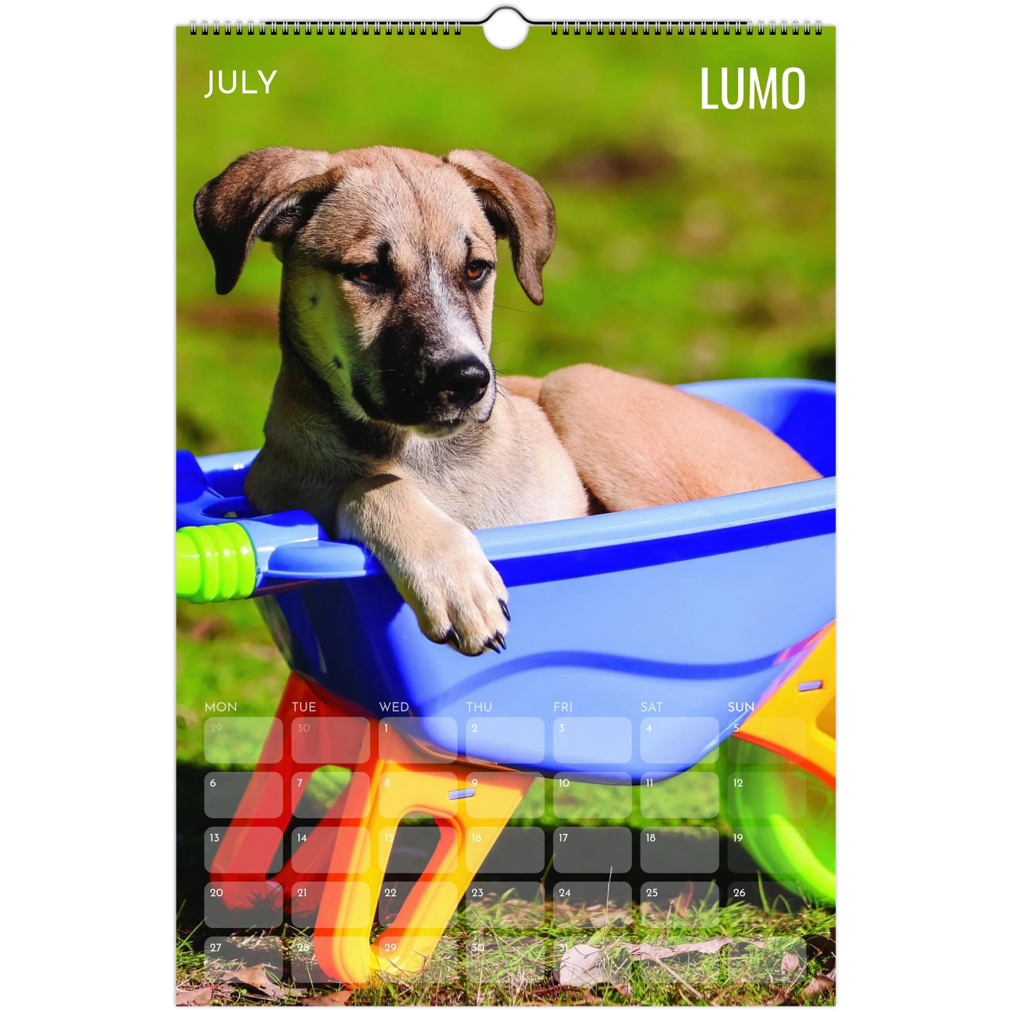 c98d1e0e-f395-4d79-b110-cbbf673a3069