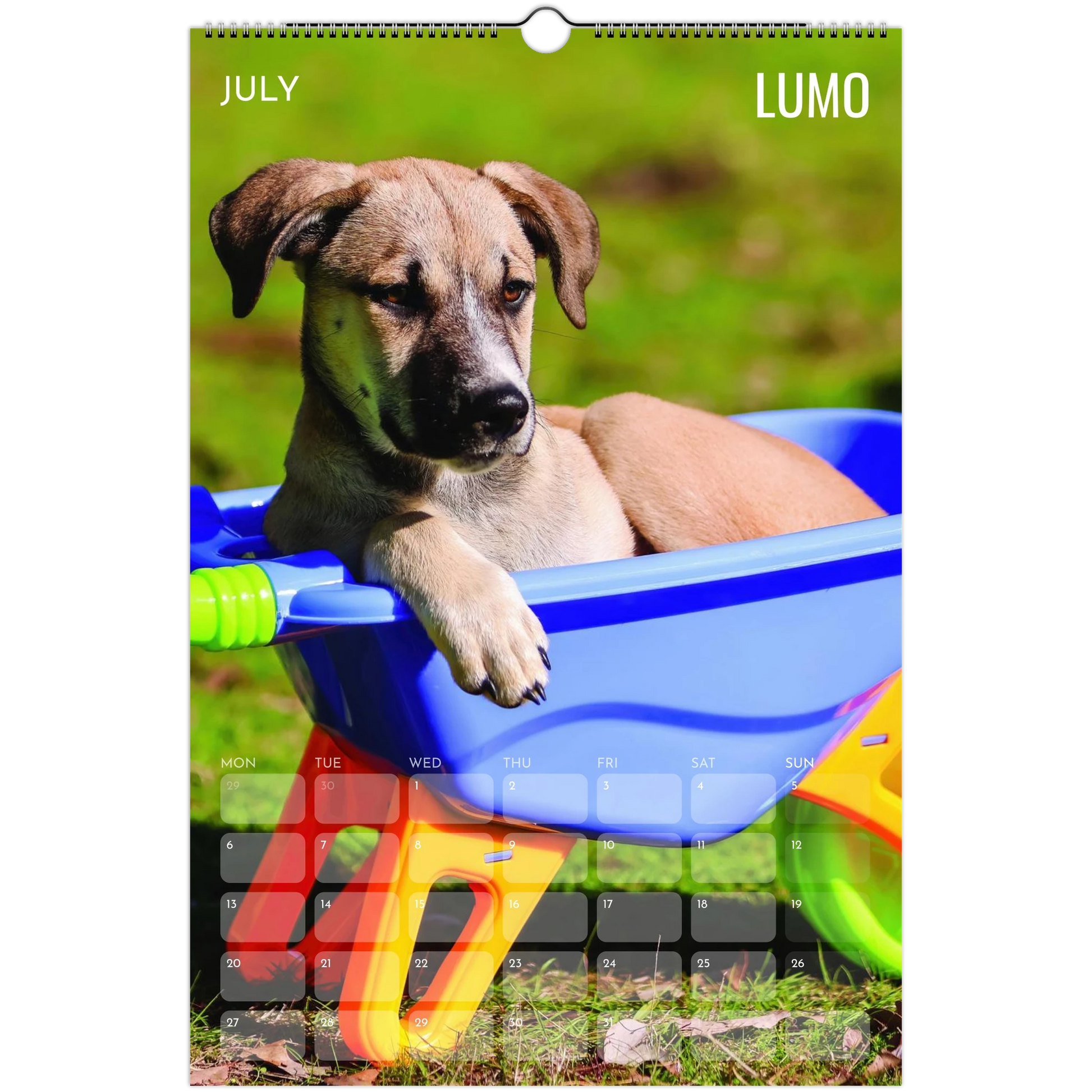 c98d1e0e-f395-4d79-b110-cbbf673a3069