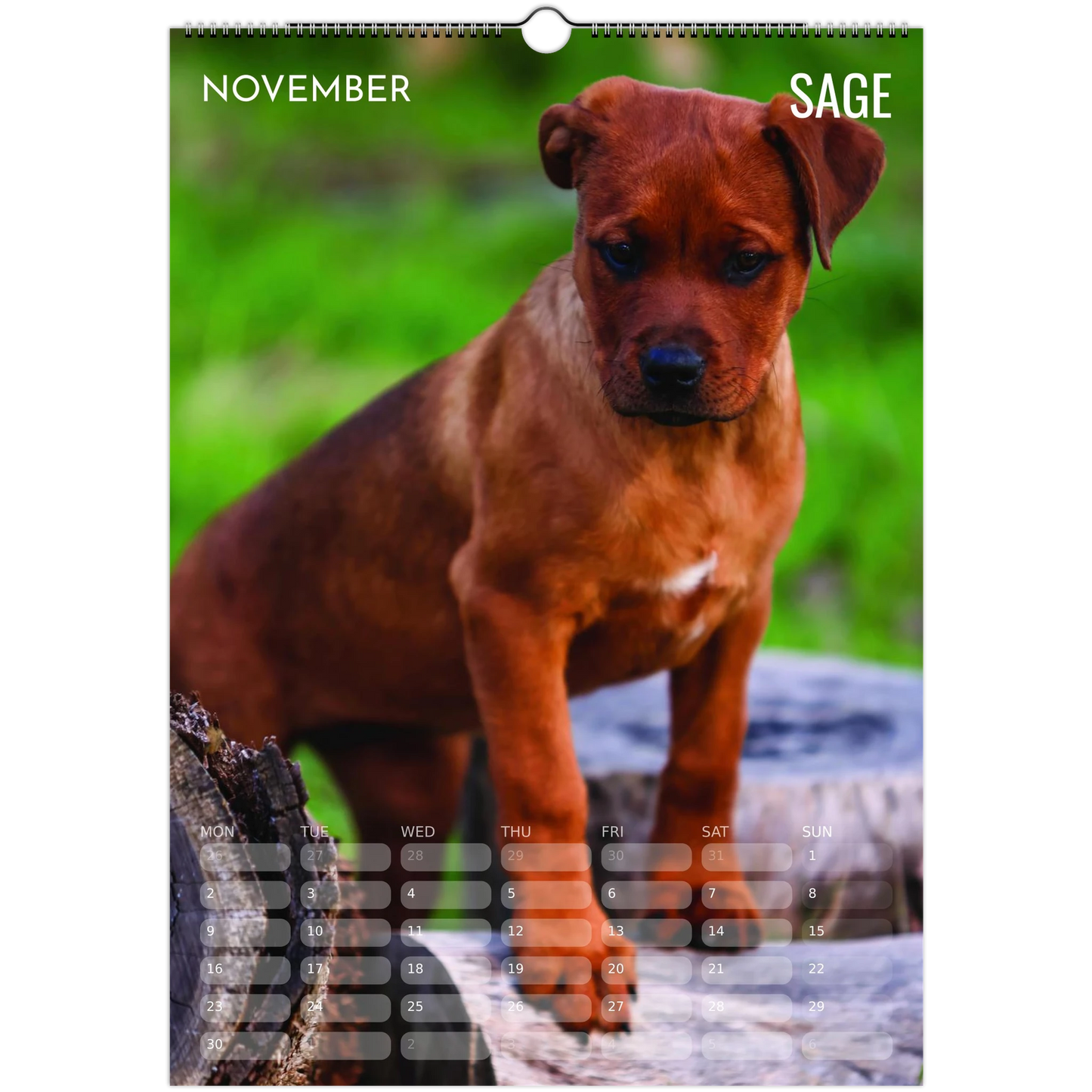 ceaa3a78-d440-4cbc-9815-8faadce75935