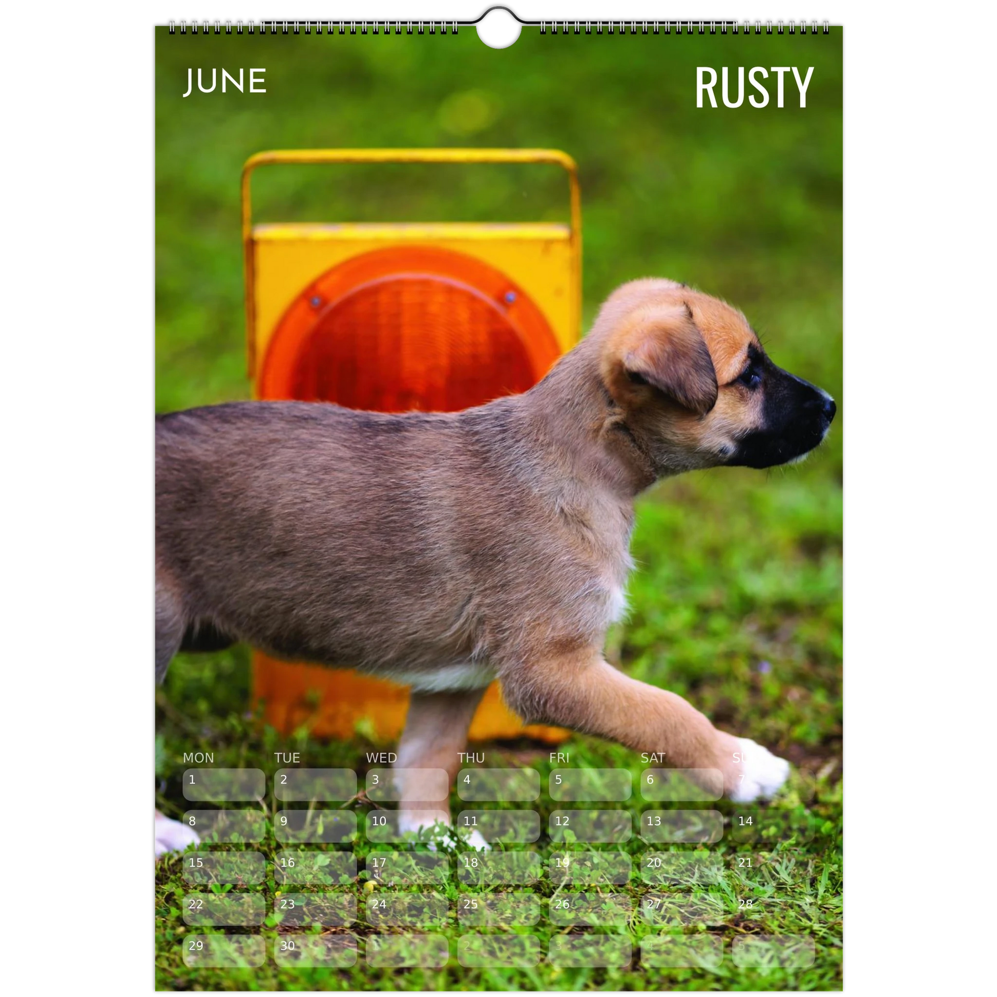 d64f5ada-451a-4ad0-9eff-c0517bd970c1